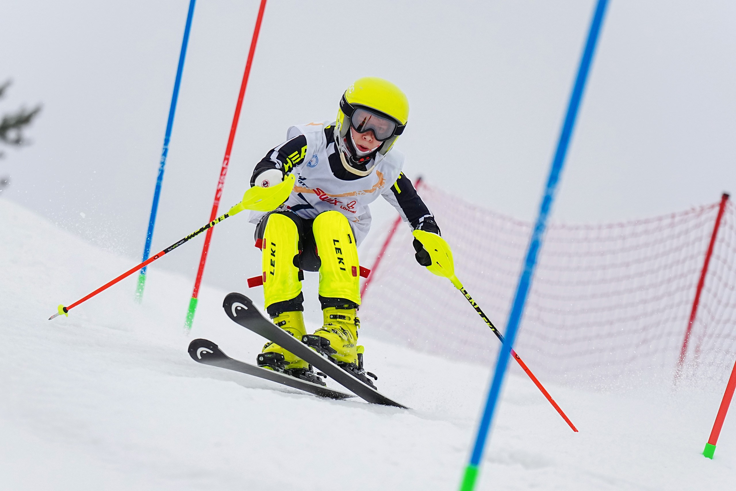 Горные лыжи. Первенство Московской области. Слалом. Шуколово