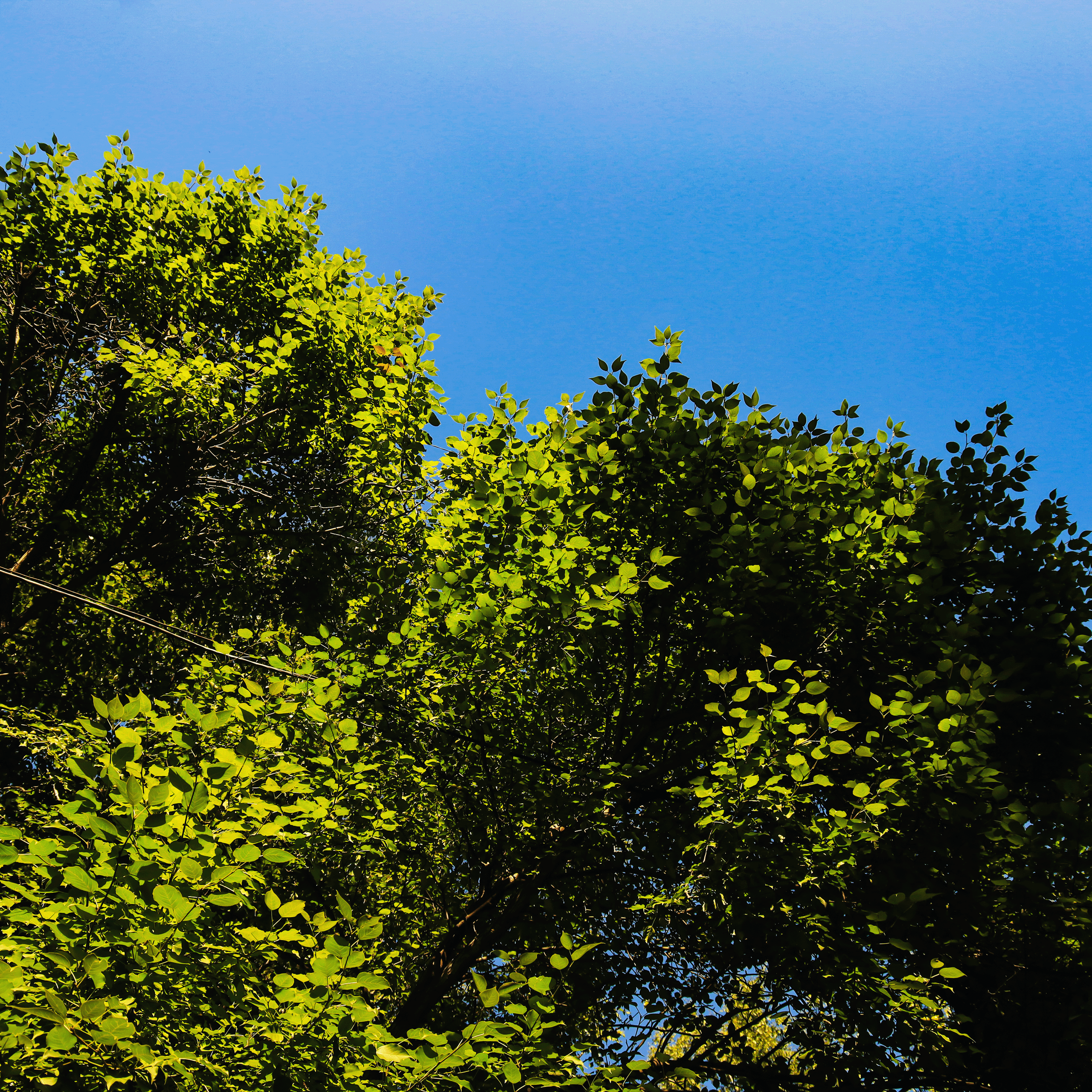 Summertime. Фотограф/дизайнер в Екатеринбурге Хитрый Дмитрий