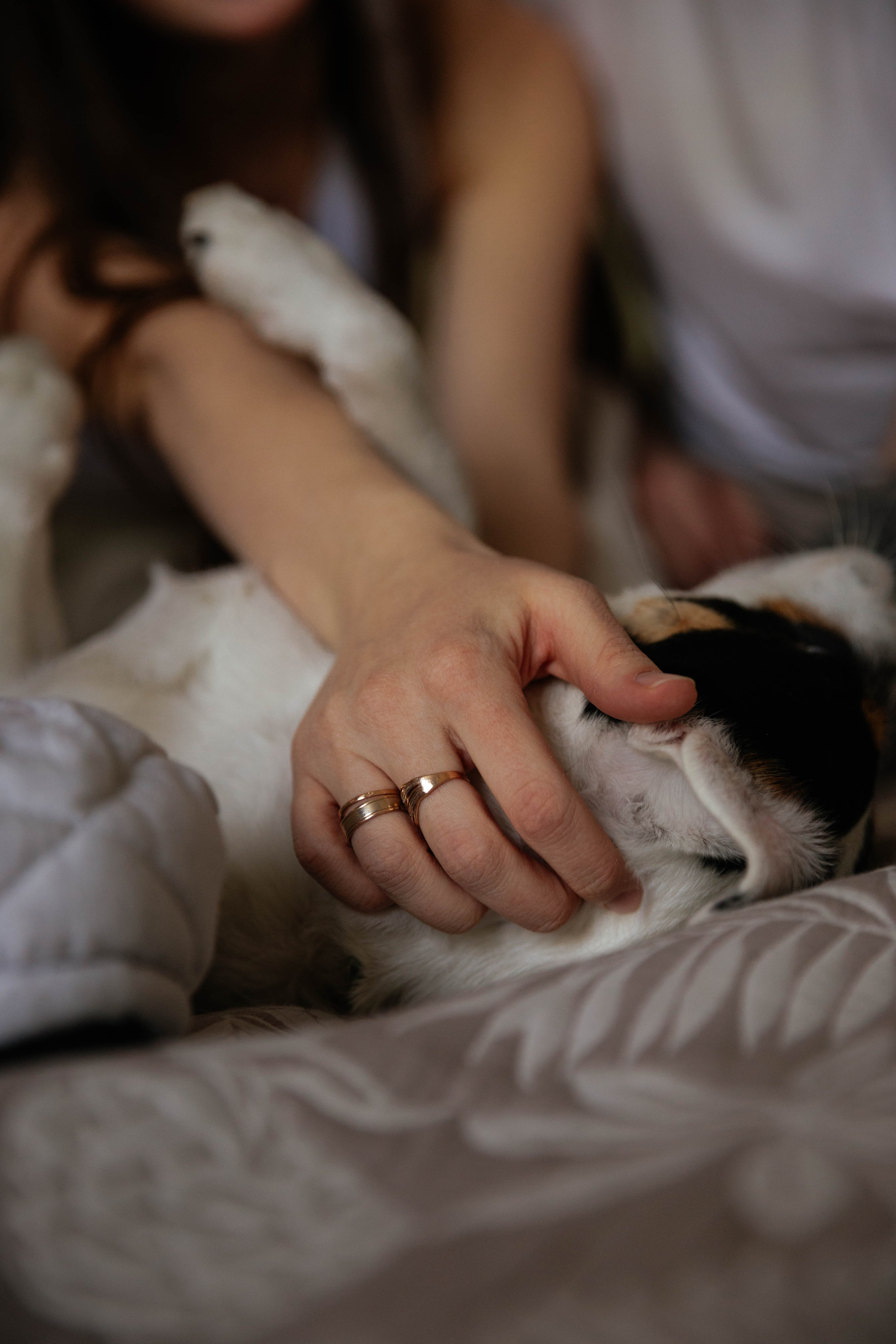 Дарья и Егор. Свадебный и семейный фотограф в Челябинске