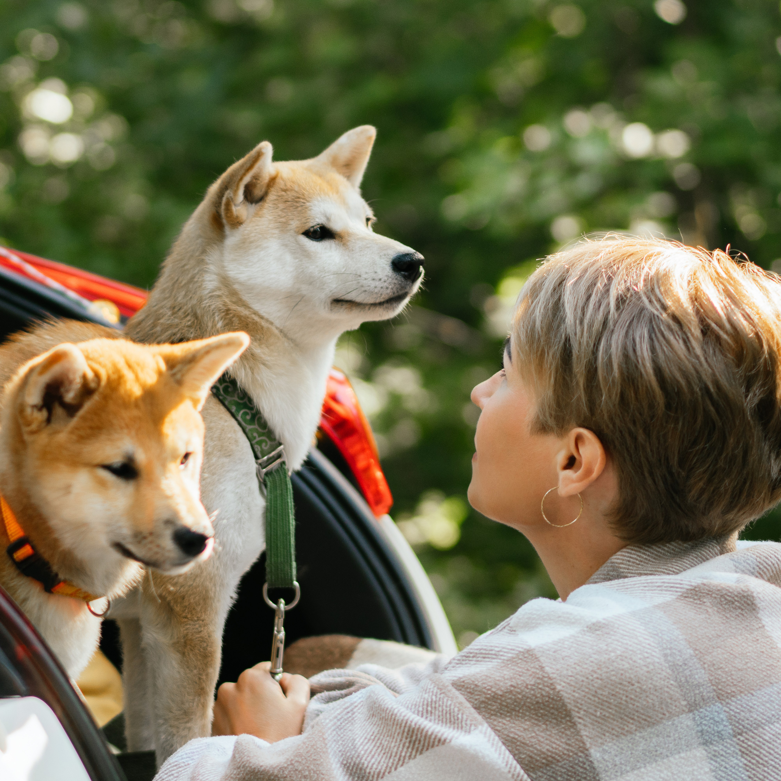 Любимые питомцы. Живые снимки! Фотограф Даша Бендер