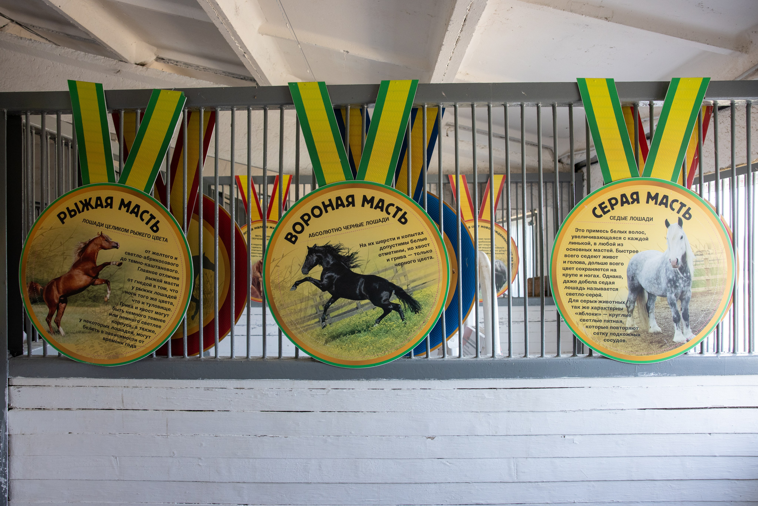 Поездка на поле Кулеково. Фотограф в Туле Крупский АнДРей. Фотостудия «КАДР71» в Туле