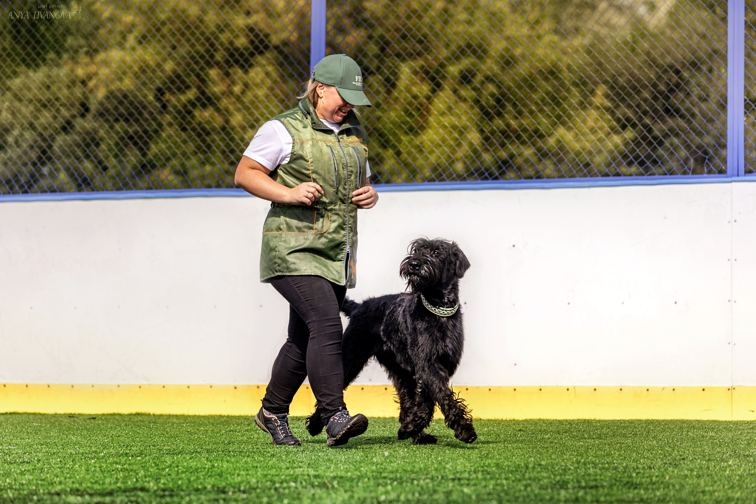 Ралли обидиенс. Фотограф анималист Аня Ливанова | Рыбинск