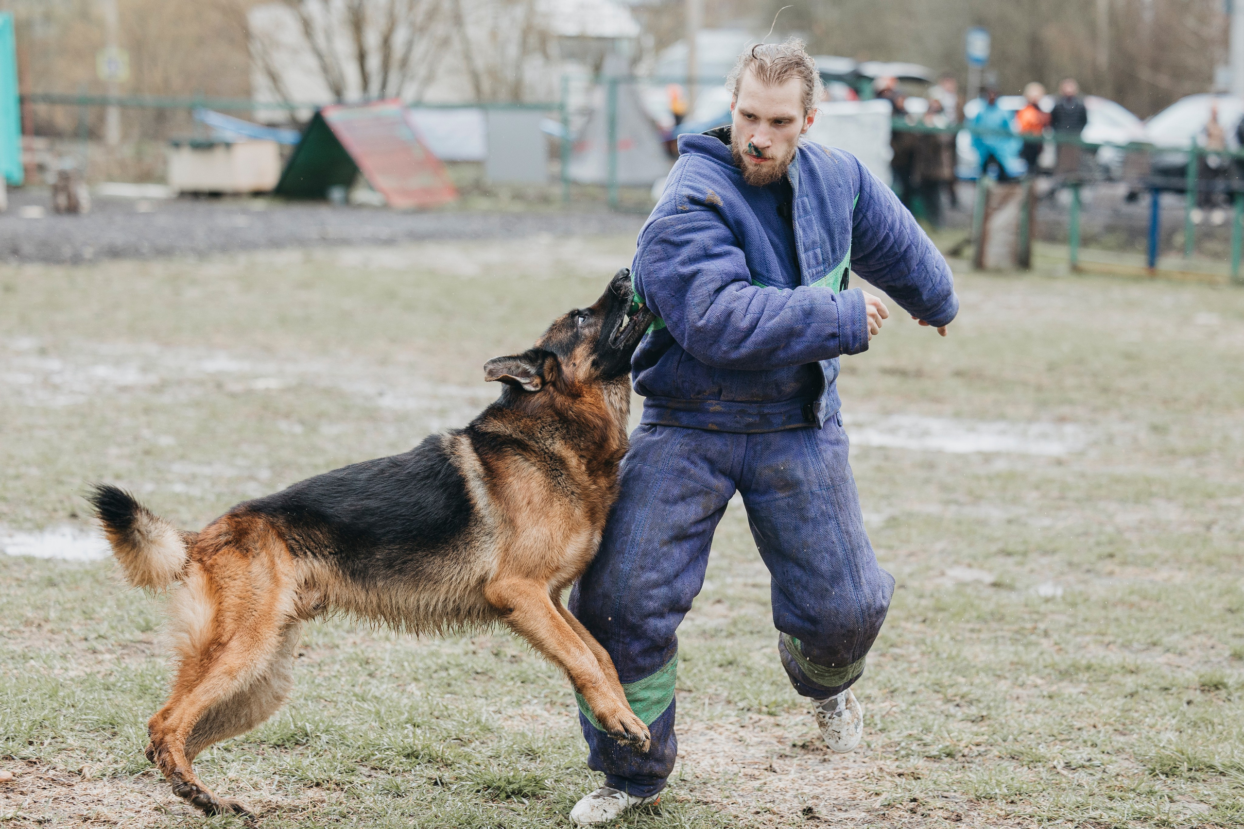 09.05.25 Вологда соревнования. Фотограф-анималист Анна Маринич