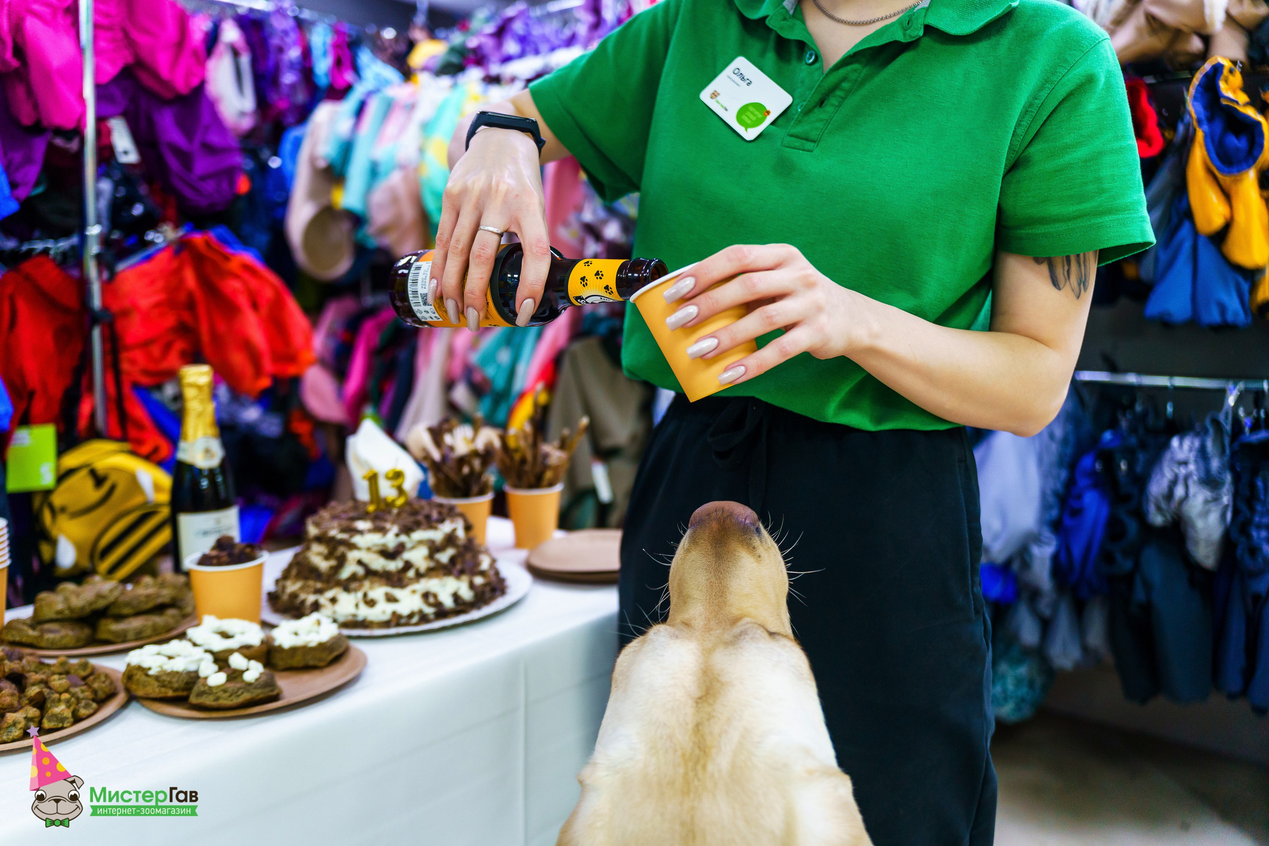 Мистер Гав -13 лет!. Фотограф Челябинск · Ольга Серебрякова