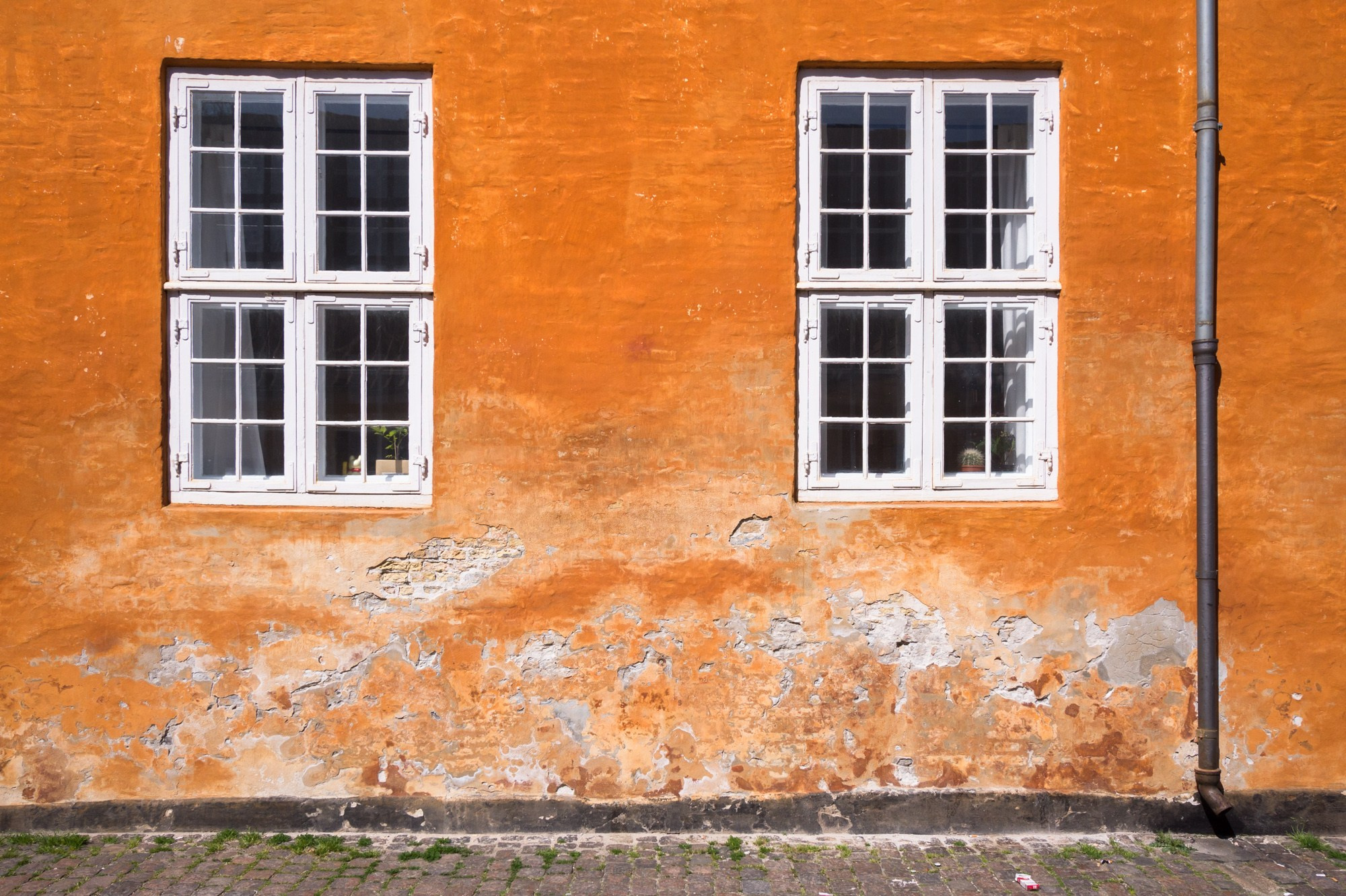 Дания, Копенгаген (Denmark, Copenhagen). Фотограф Алексей Скоробогатько