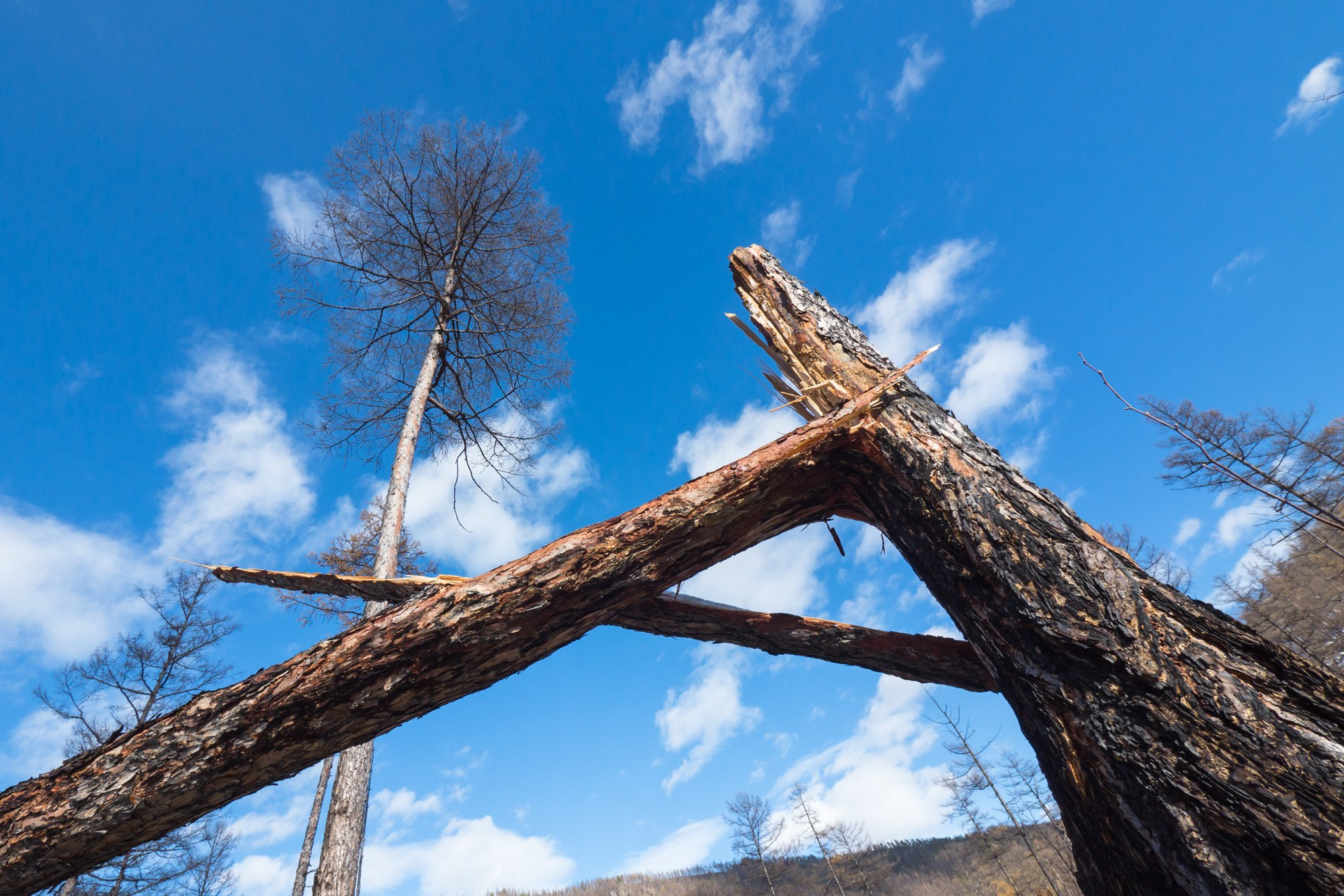 Якутия. Фотограф Алексей Скоробогатько