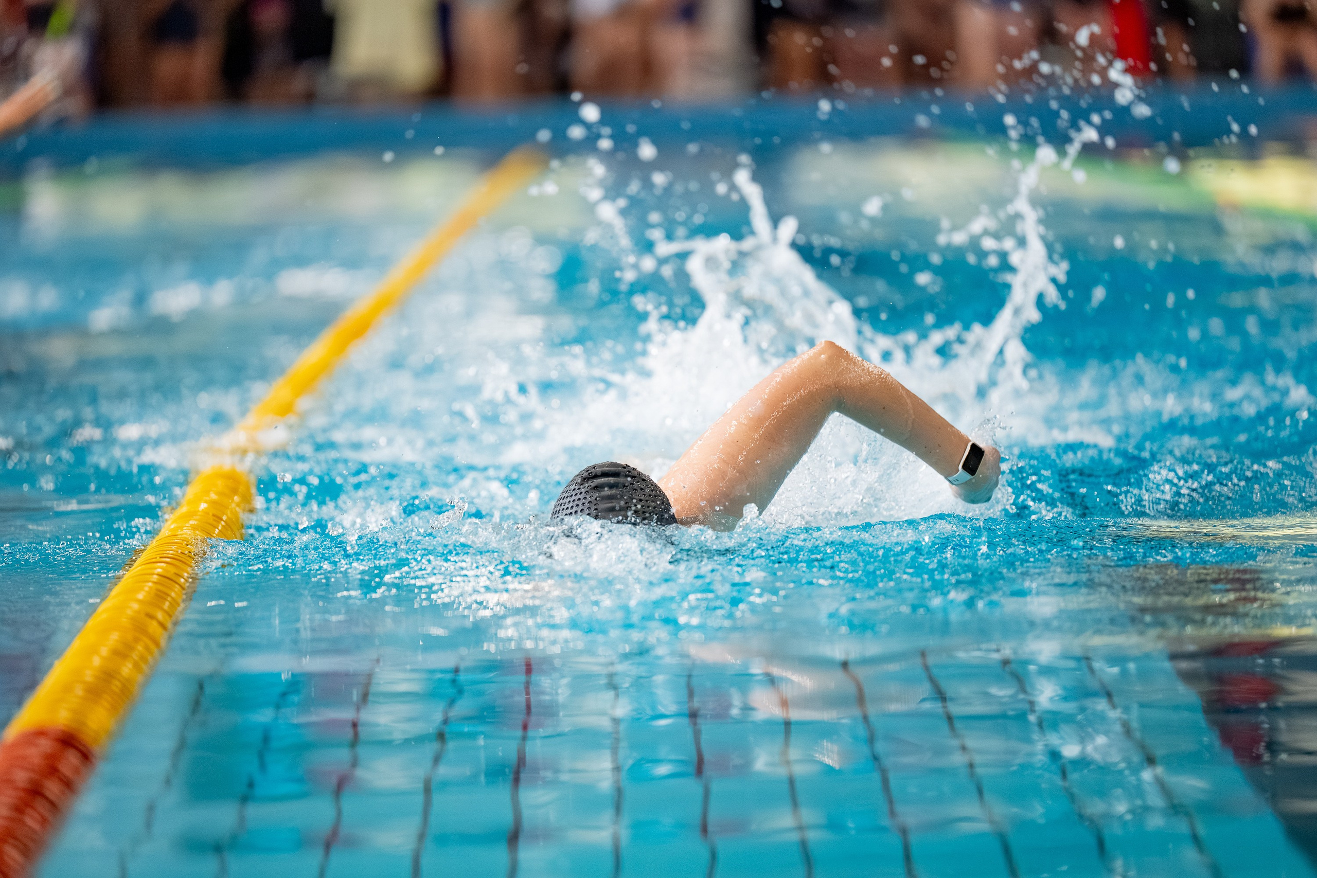 АРКС 2025 Плавание. Фотограф Киселев Егор