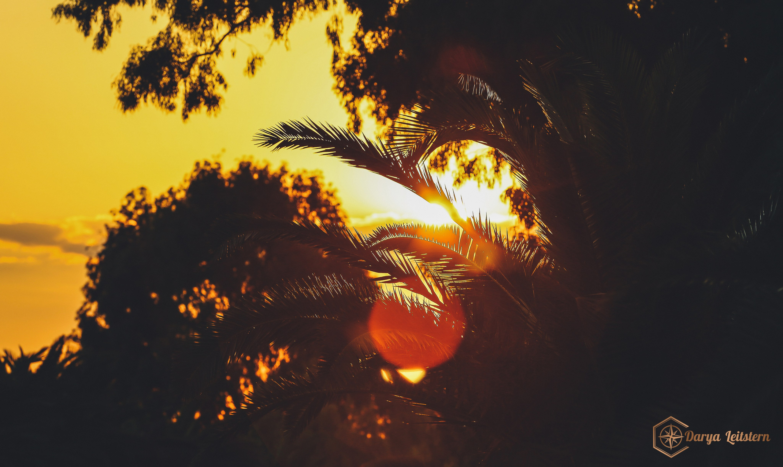 Фотографии из путешествий по разным странам. Дарья Письменюк / Darya Leitstern — фотограф, музыкант, журналист, путешественник