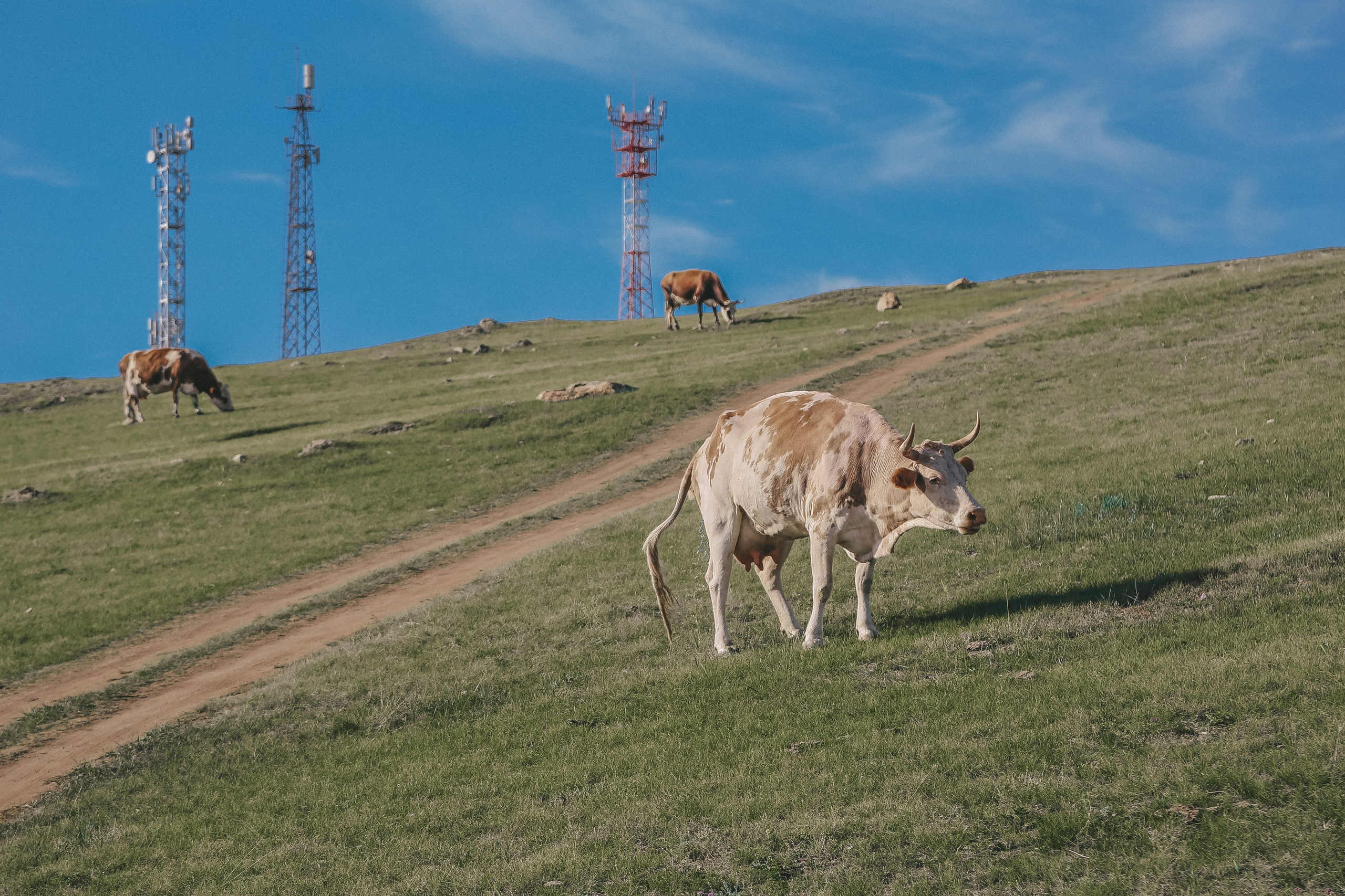 Байкал летний: легенды и святыни. Дарья Письменюк / Darya Leitstern — фотограф, музыкант, журналист, путешественник