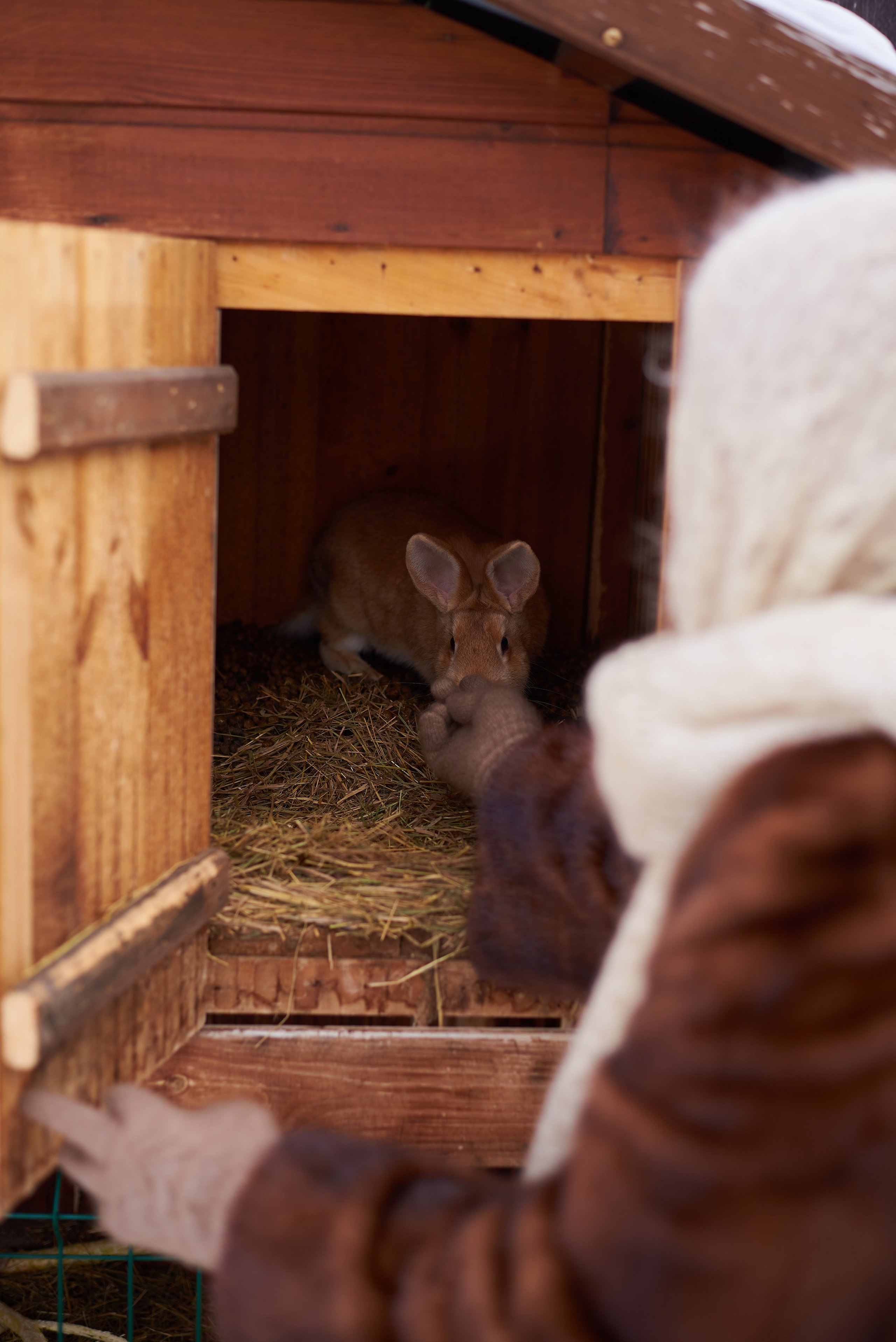 Наталья. Семейный фотограф в Барнаул/Горный Алтай, Аренда дома в горах