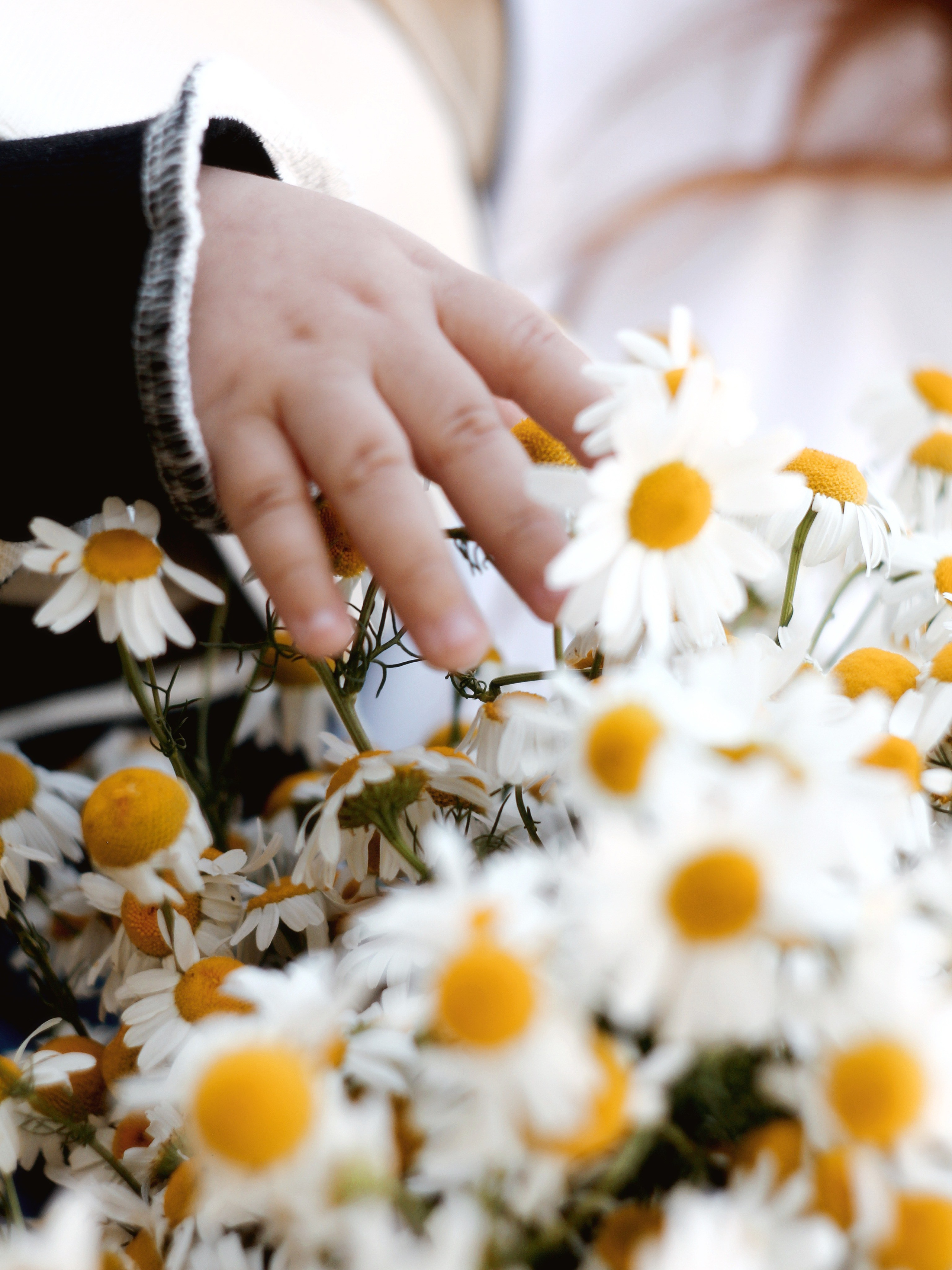 Семейная. Photography Eva