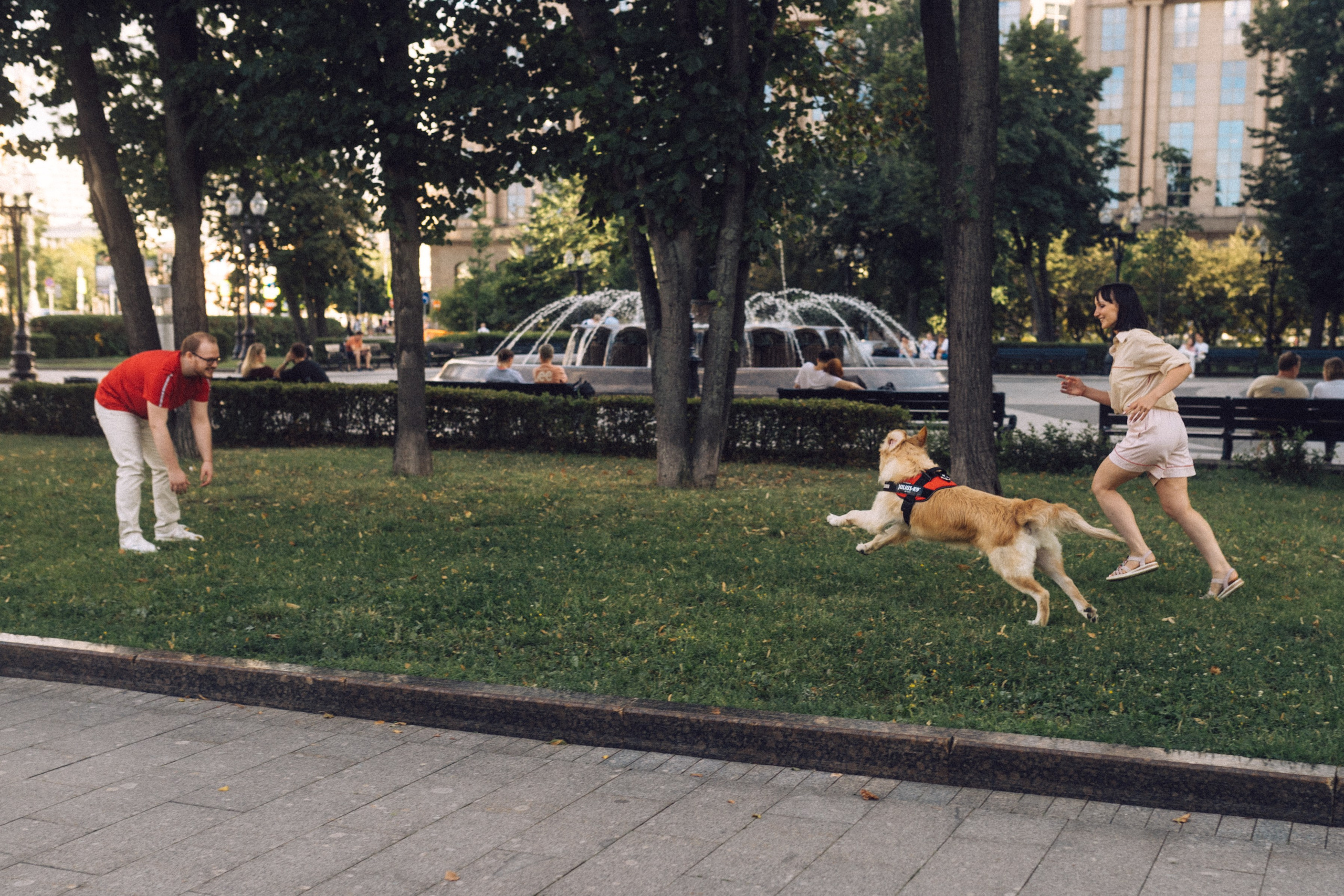 Фотограф Александр Быков