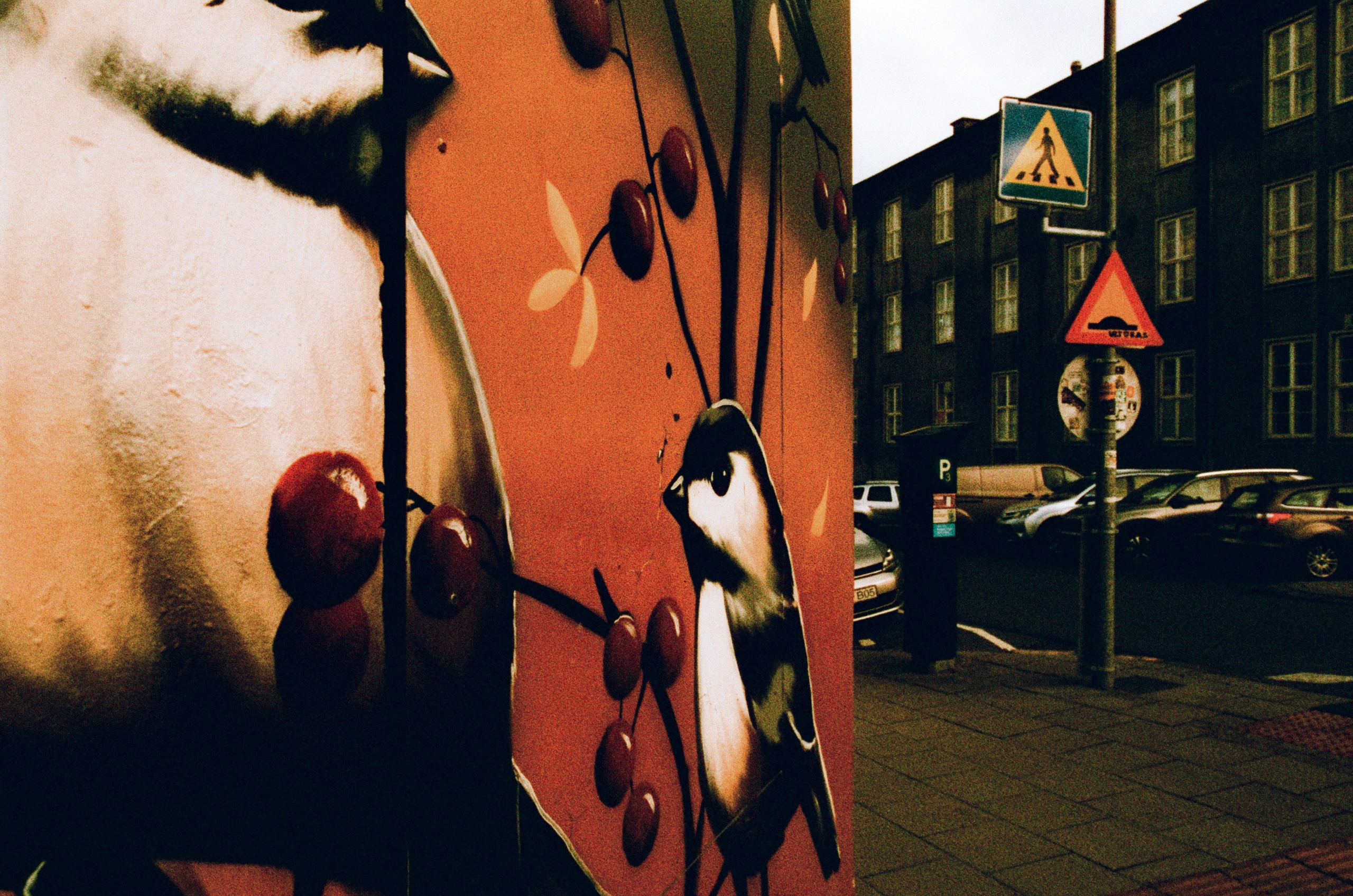 Run no more // iceland, reykjavik. EVER EXPOSED