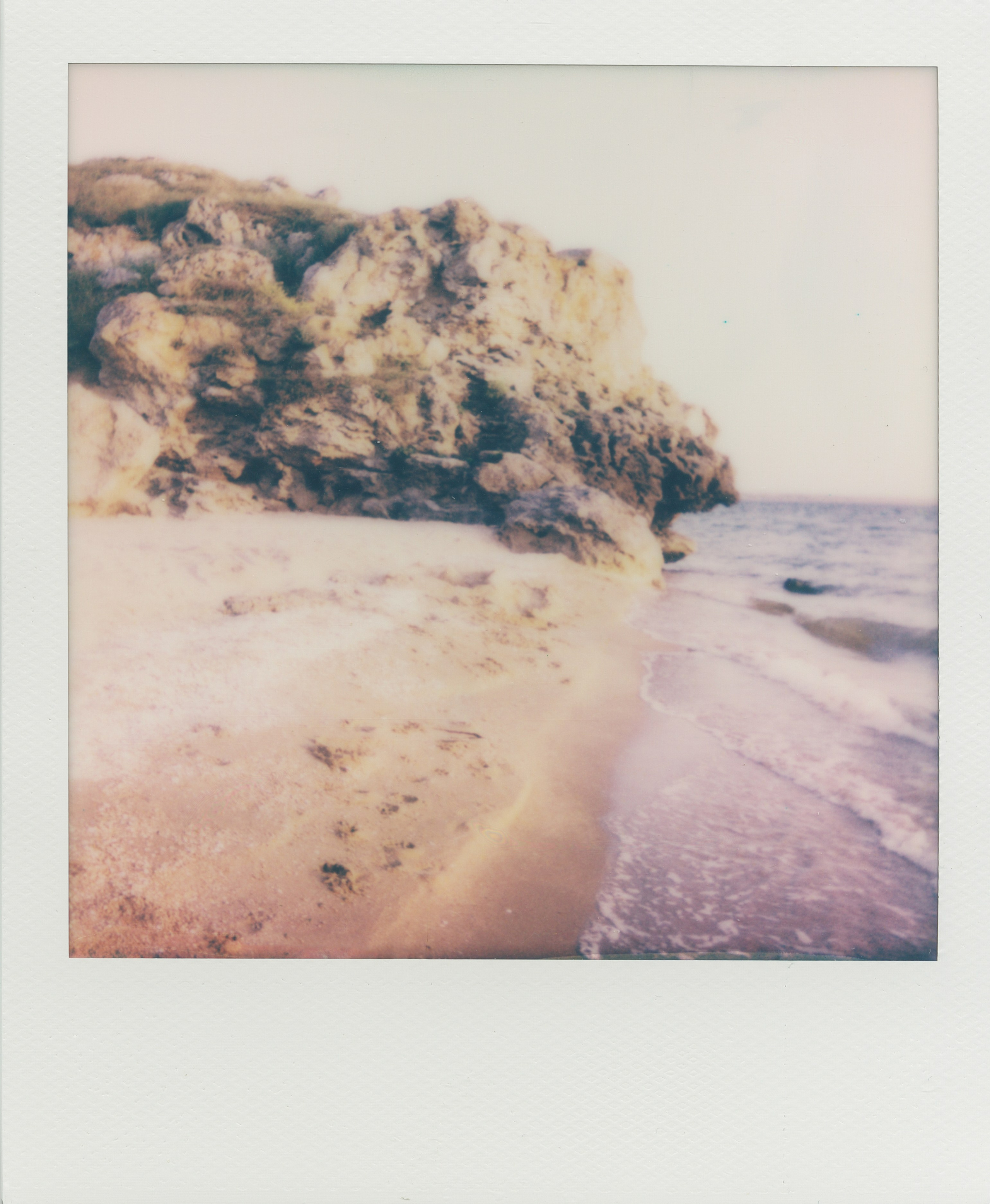 POLAROID. EVER EXPOSED