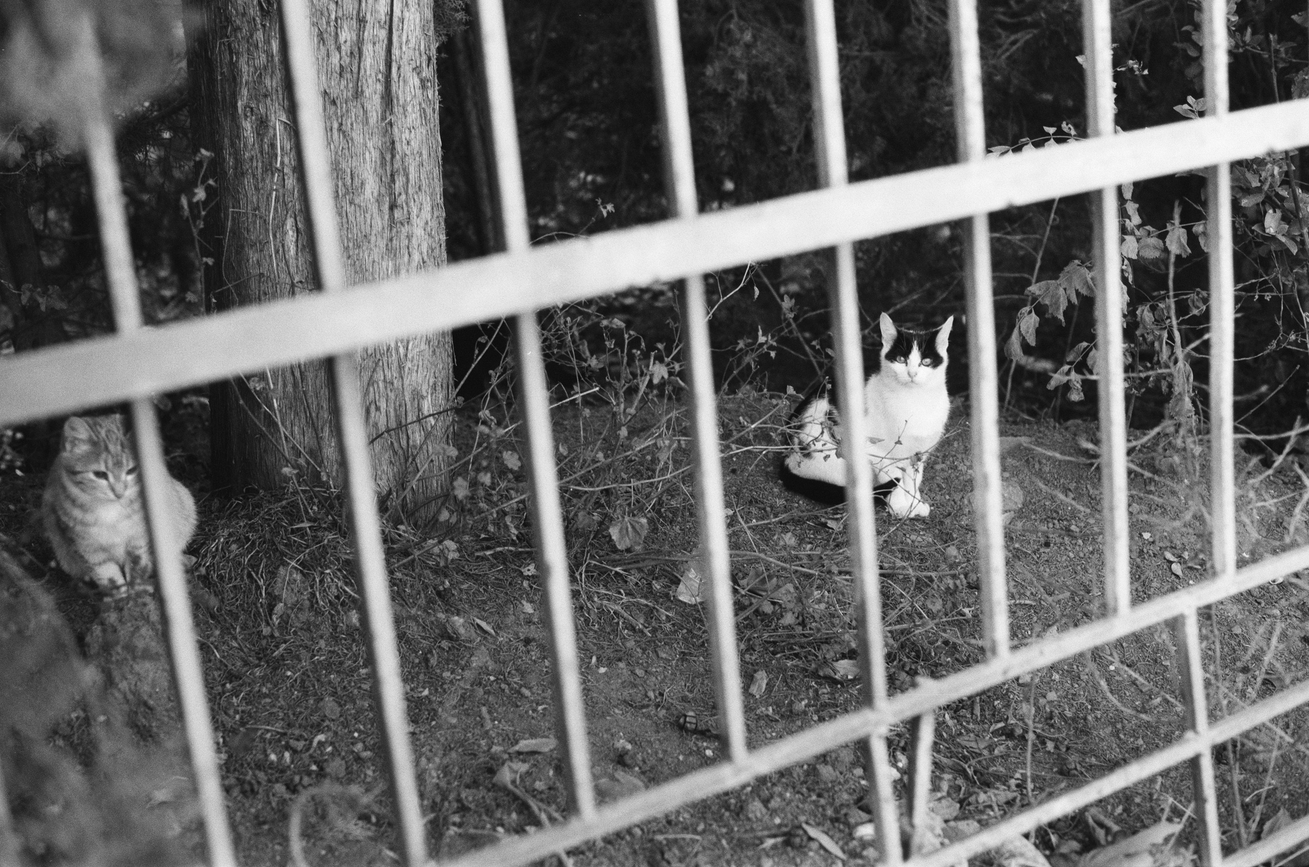 I o u // ukraine, crimea II. EVER EXPOSED