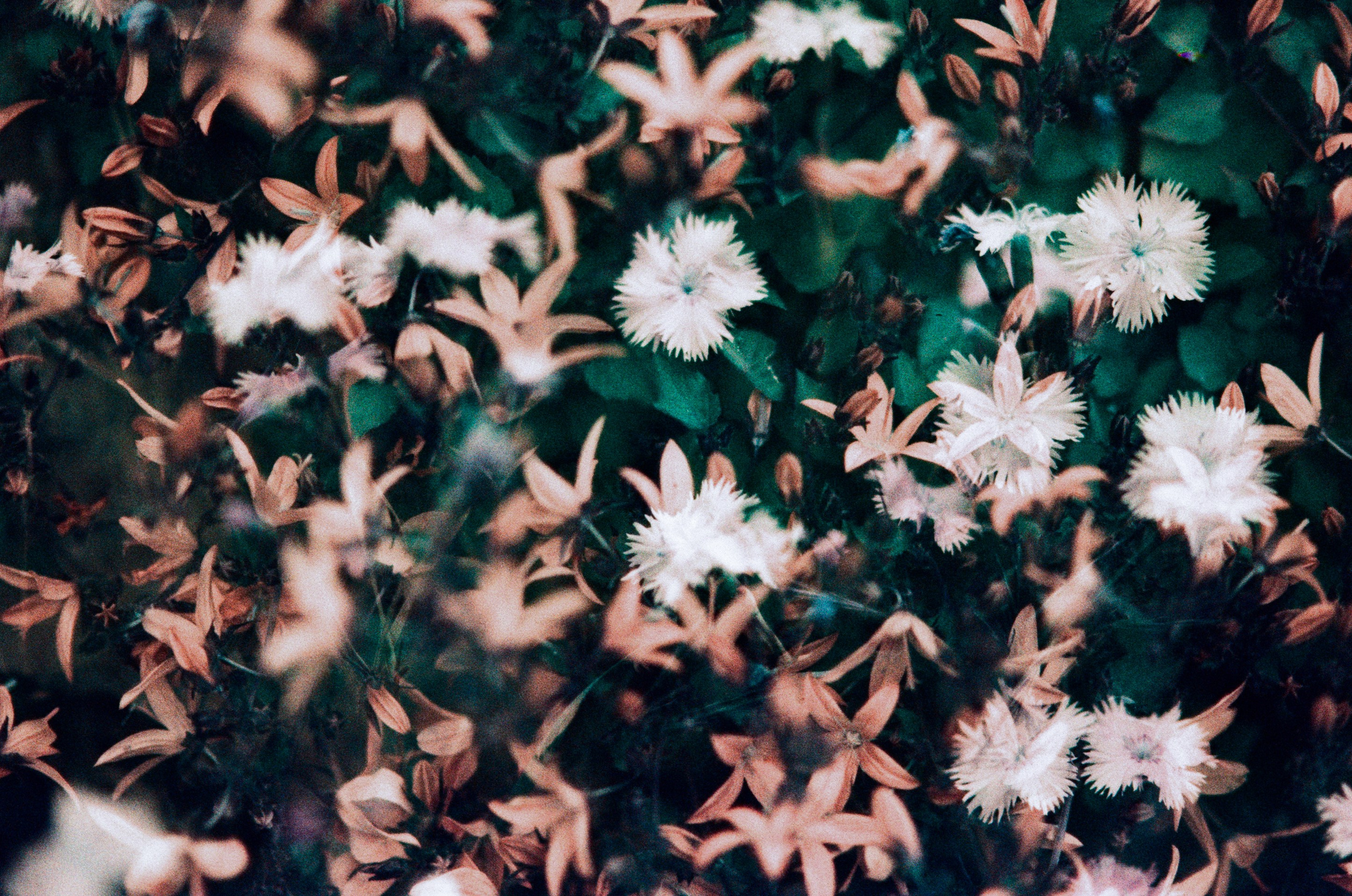 Pain shopping // ukraine, crimea VII. EVER EXPOSED