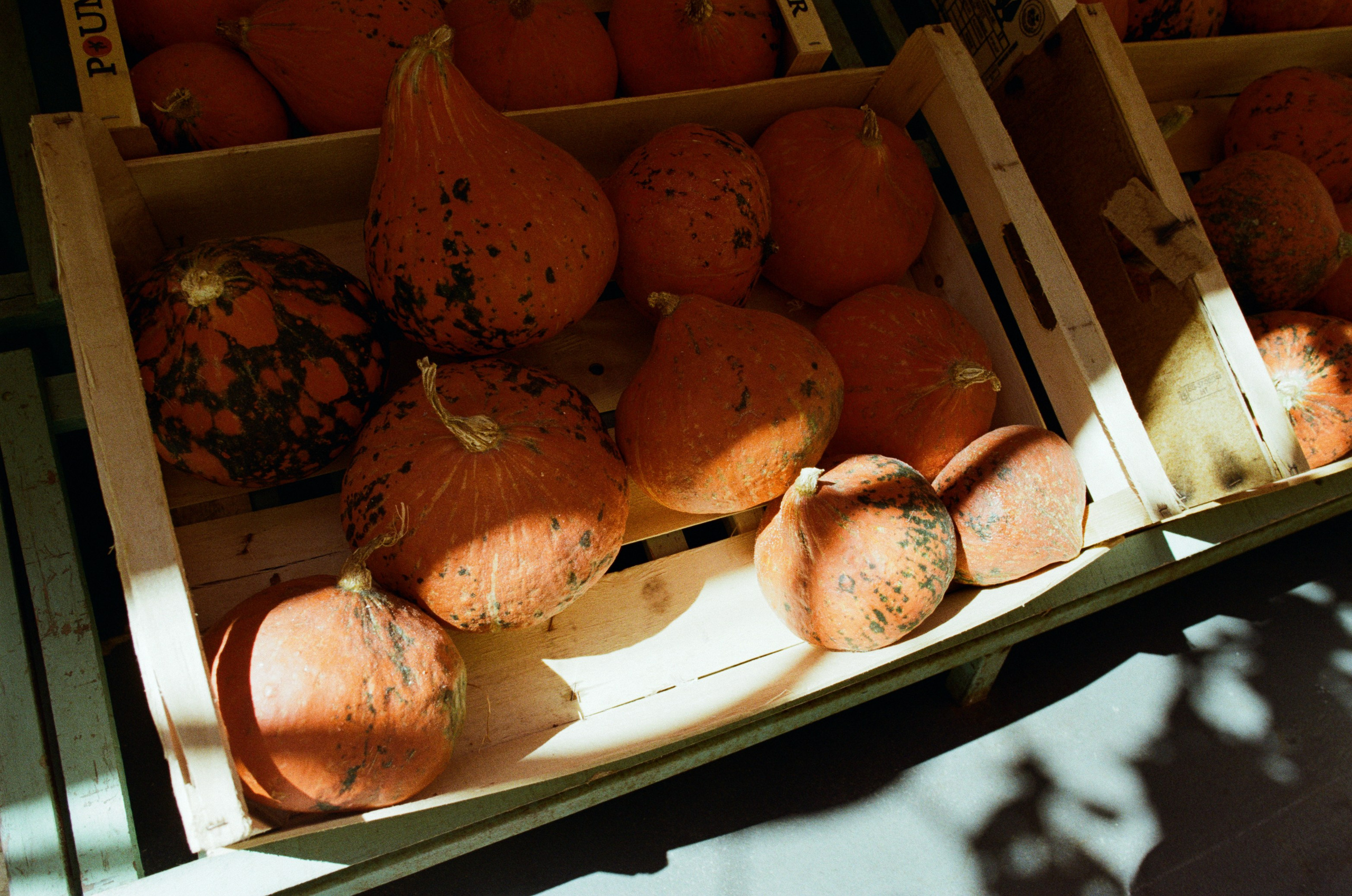 The contract // france, antibes. EVER EXPOSED