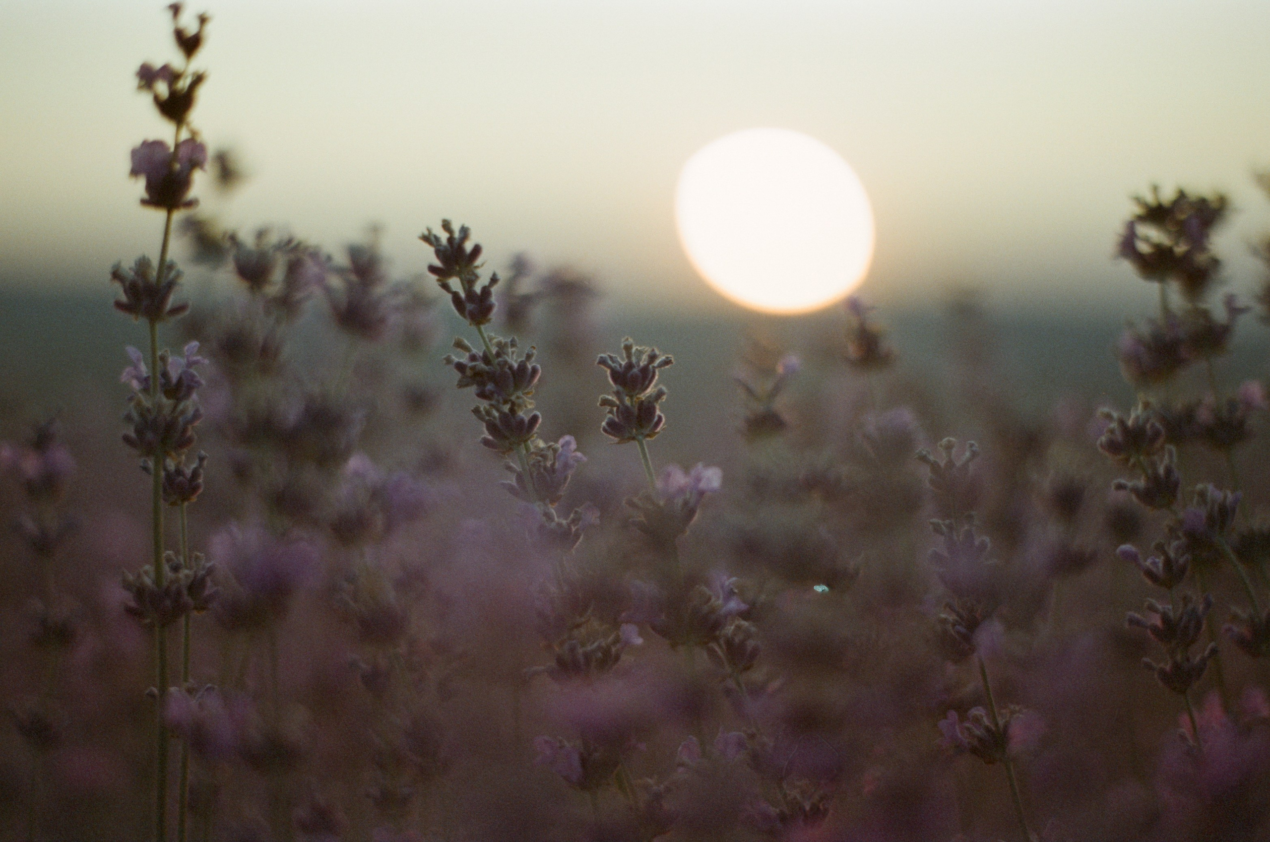 Silent running // ukraine, crimea V. EVER EXPOSED