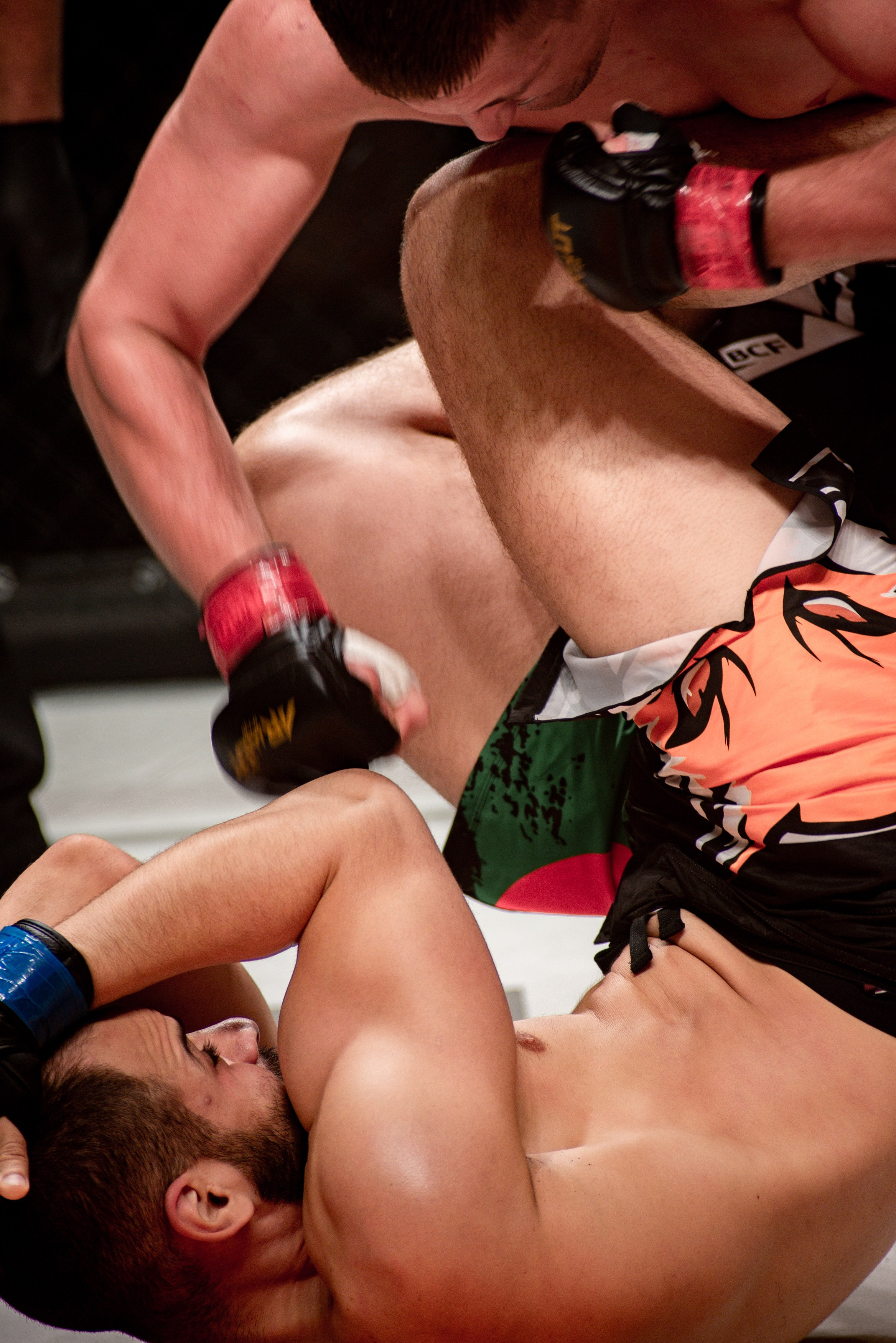 Miroslava Fight