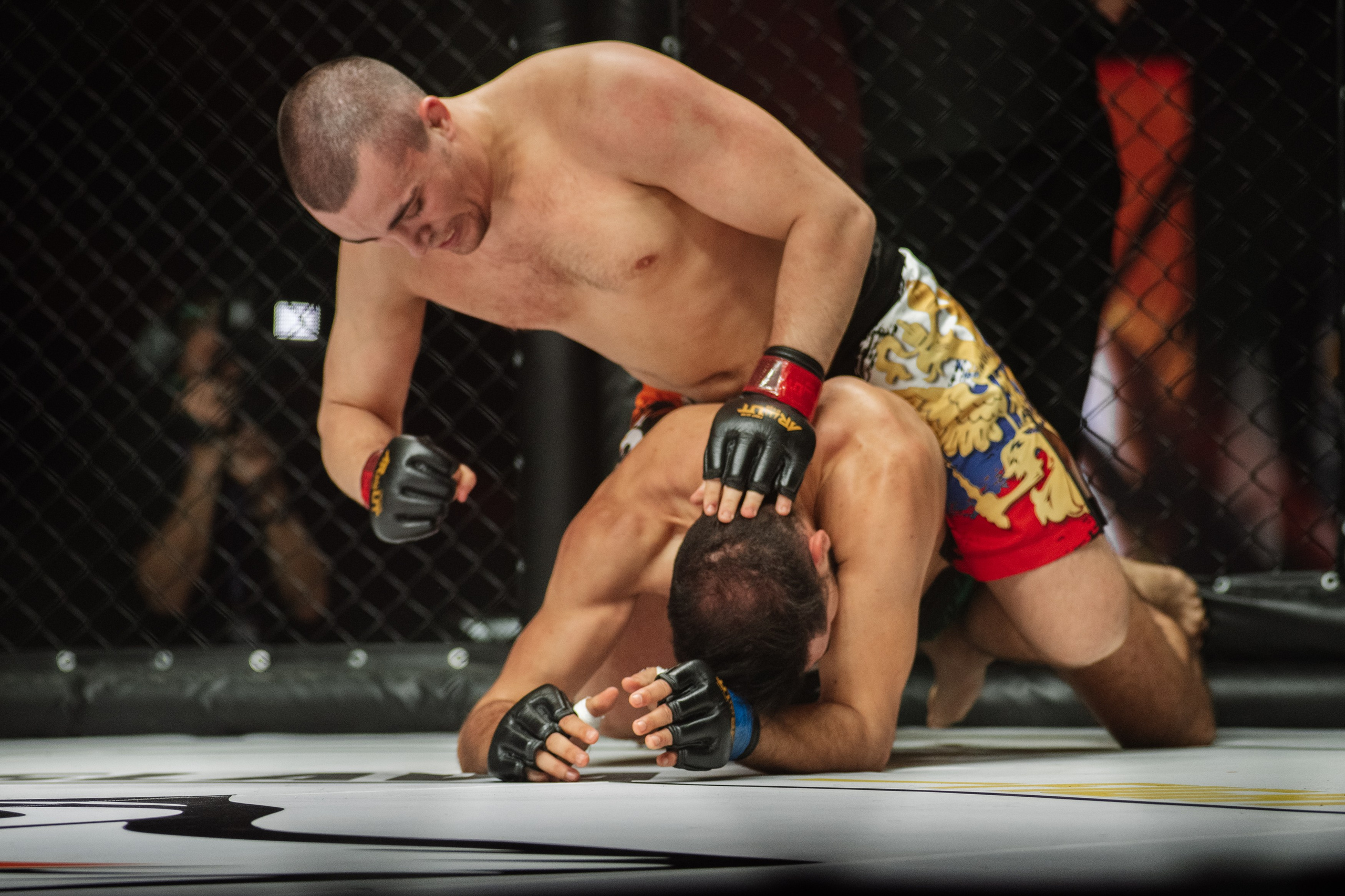 Miroslava Fight