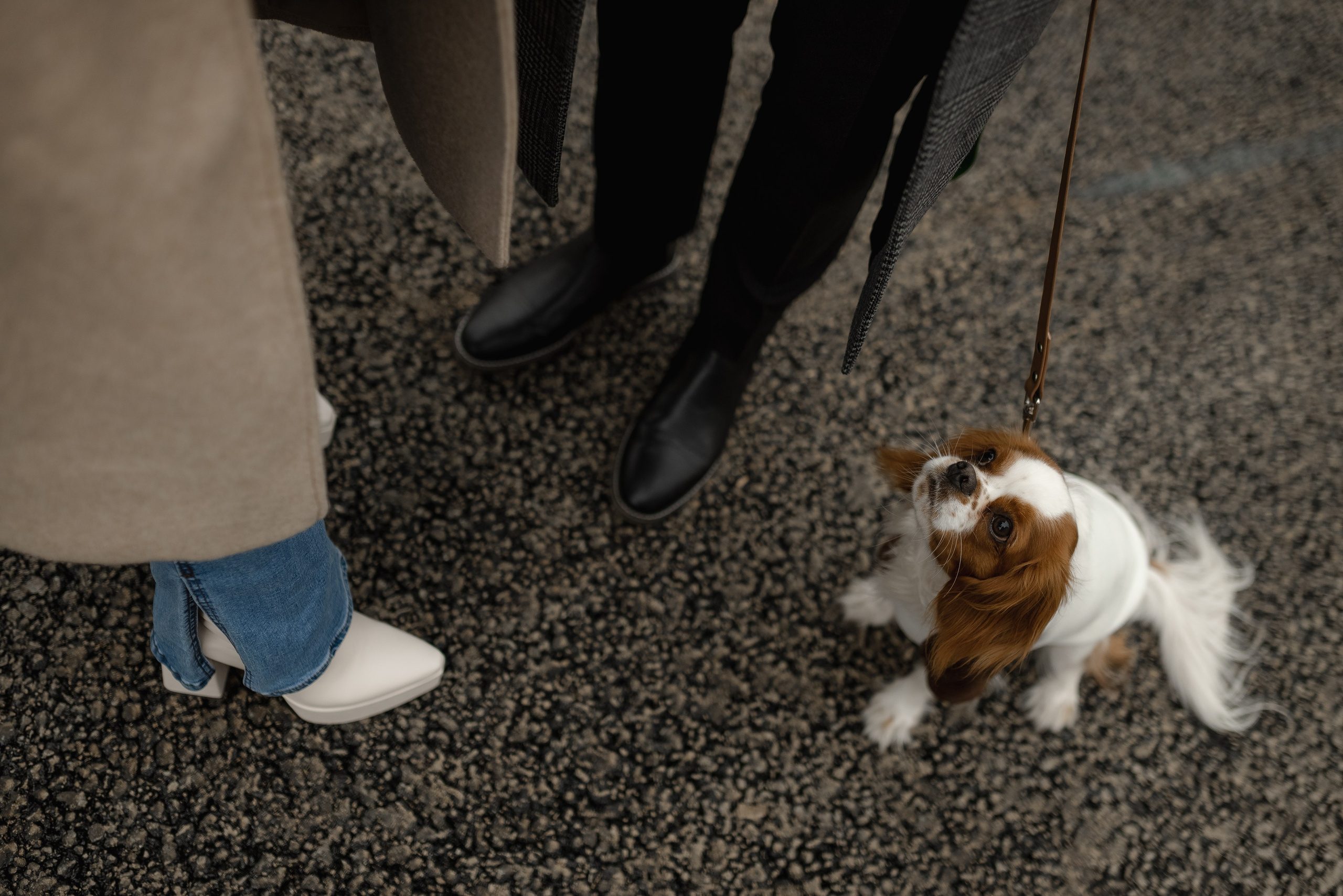 Виктория&Денис. Савиновская Кристина фотограф Самара