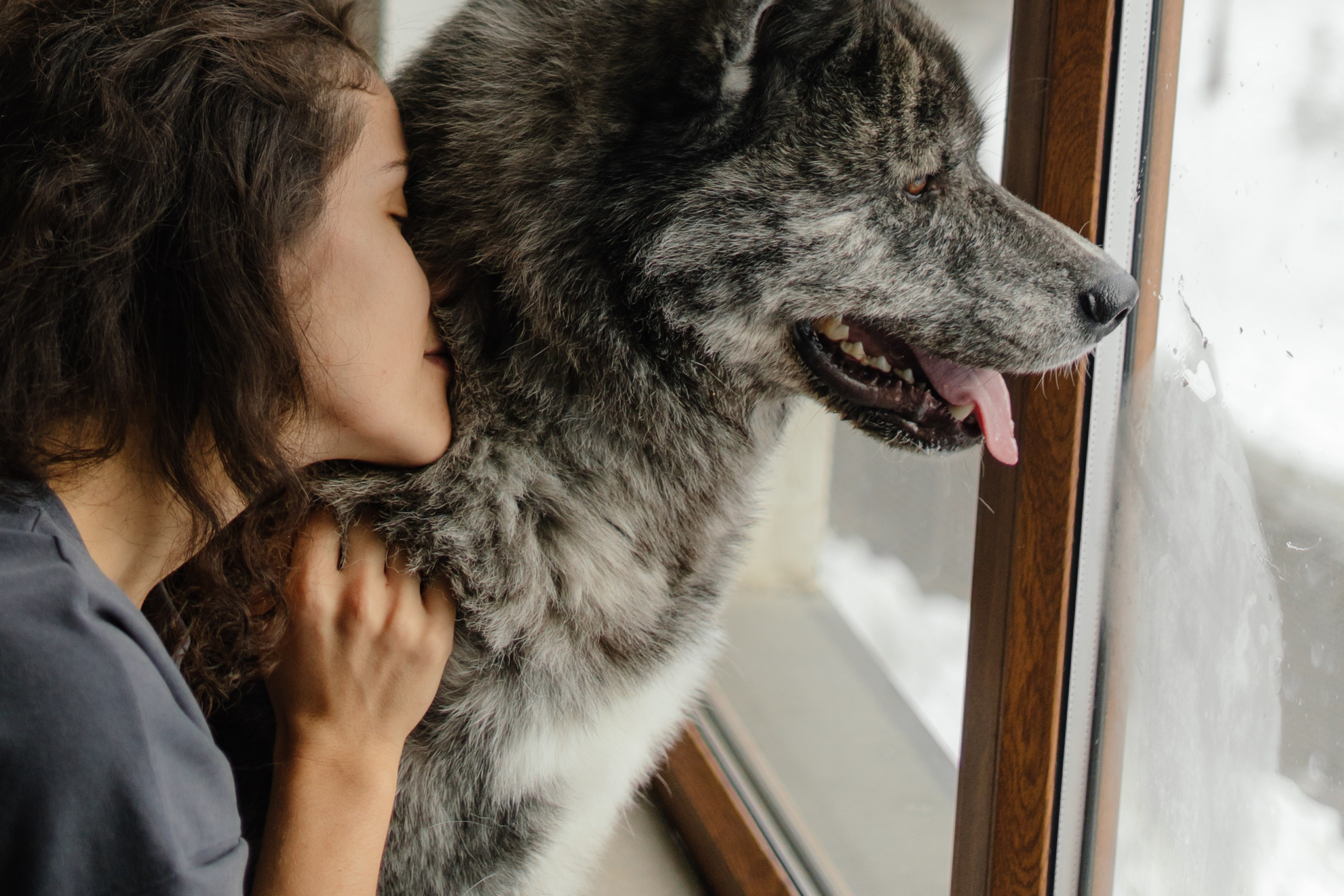 Лиза, Коля и Давид. Главная