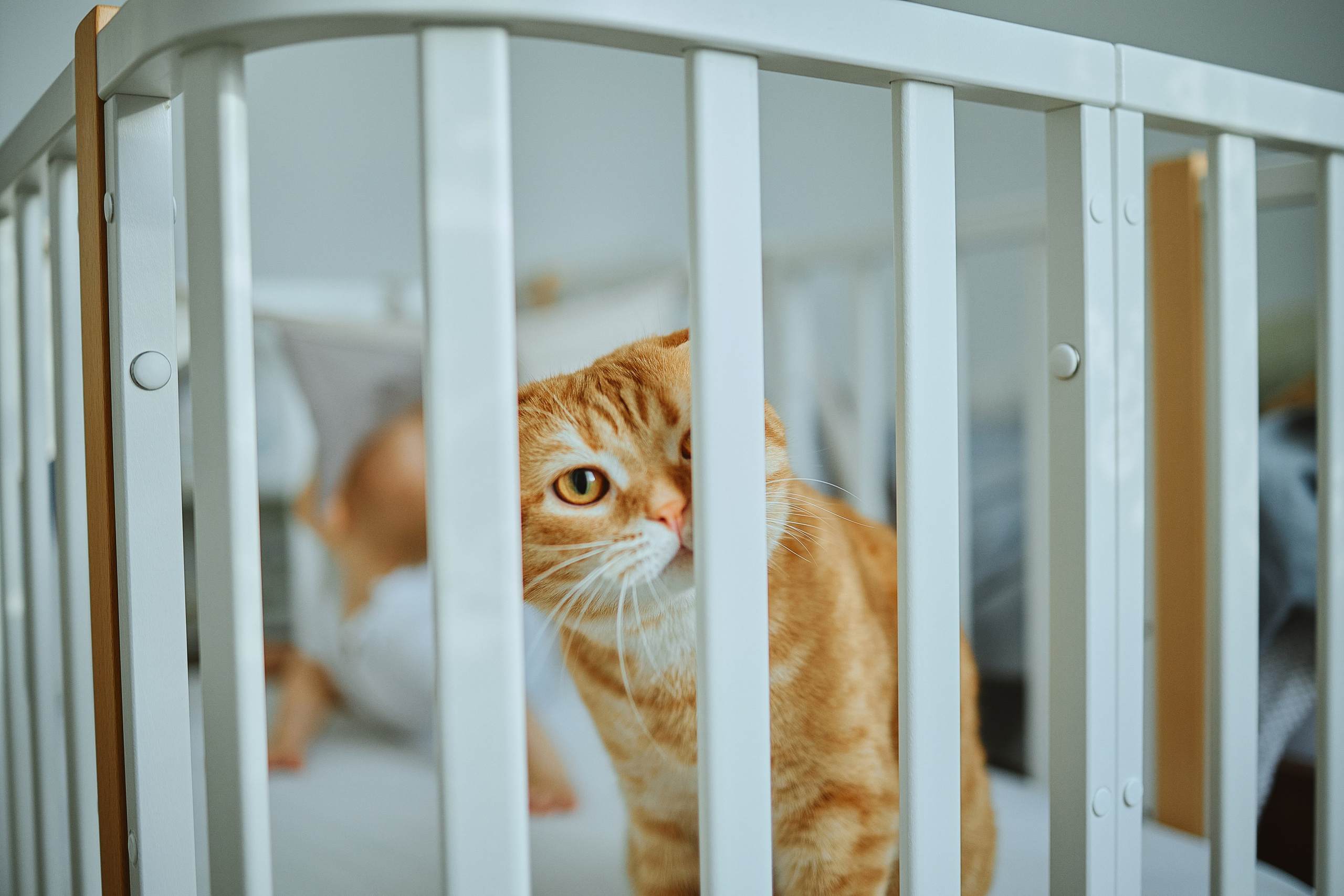 Дома весело. Фотограф Жанна Лефлер