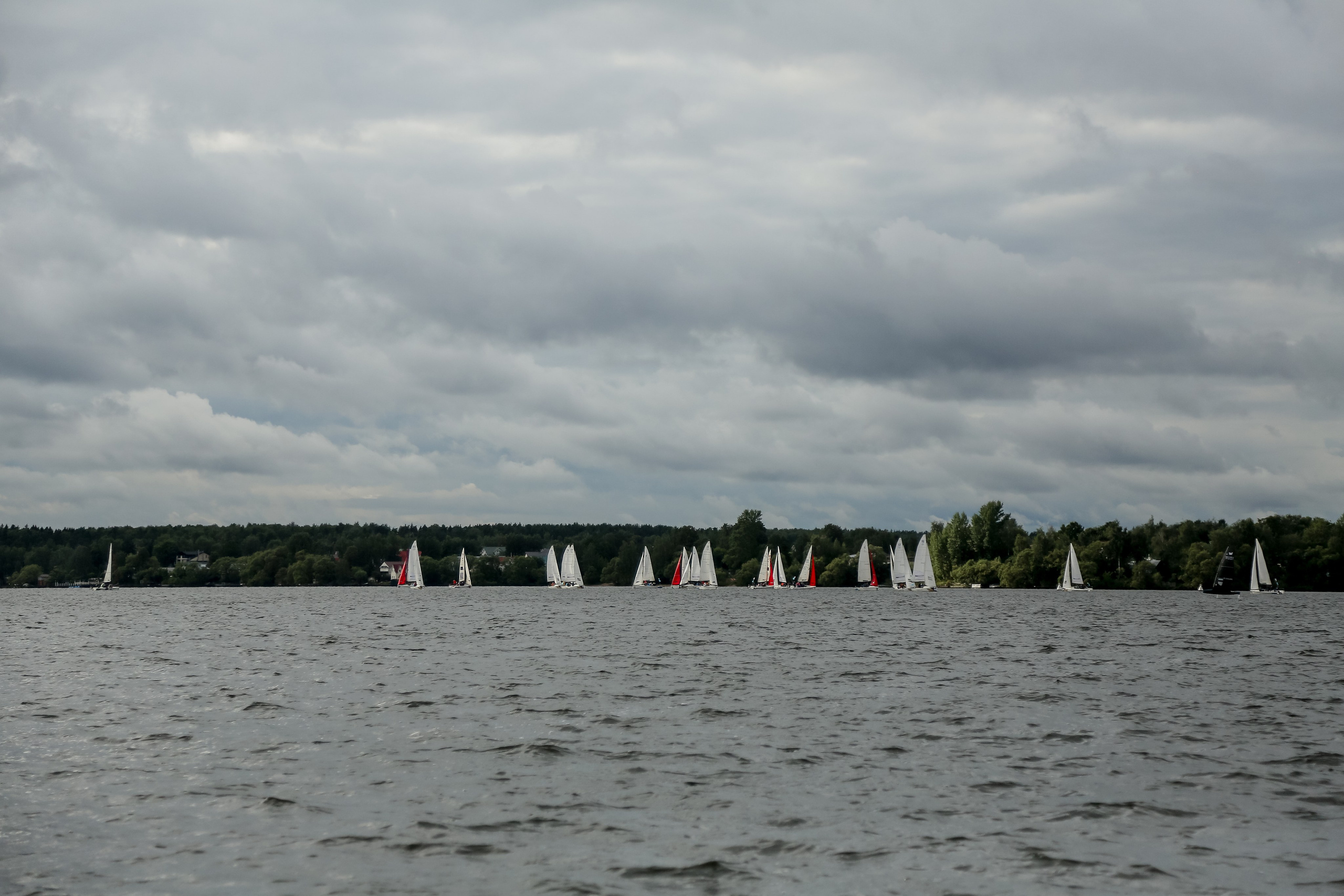 DIS Регата 2025. Фотограф Антон Чупринин