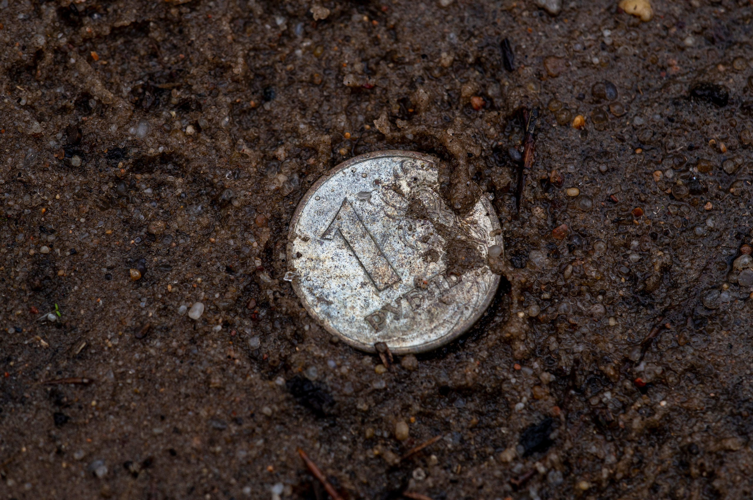 Фотопрогулка ДР. Фотограф Роман Адлер