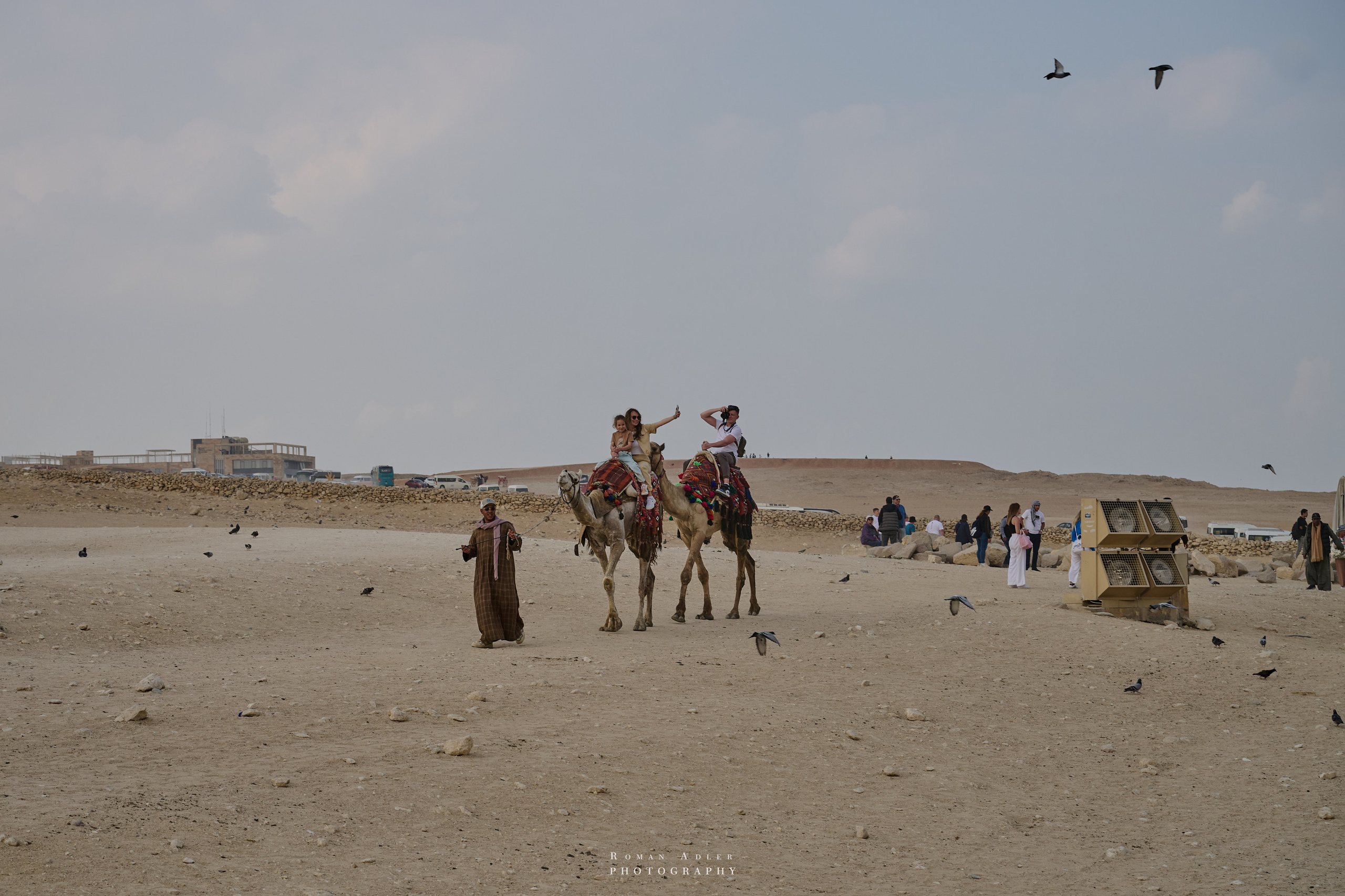 Гиза (Мемфис). Февраль 2025. Фотограф Роман Адлер