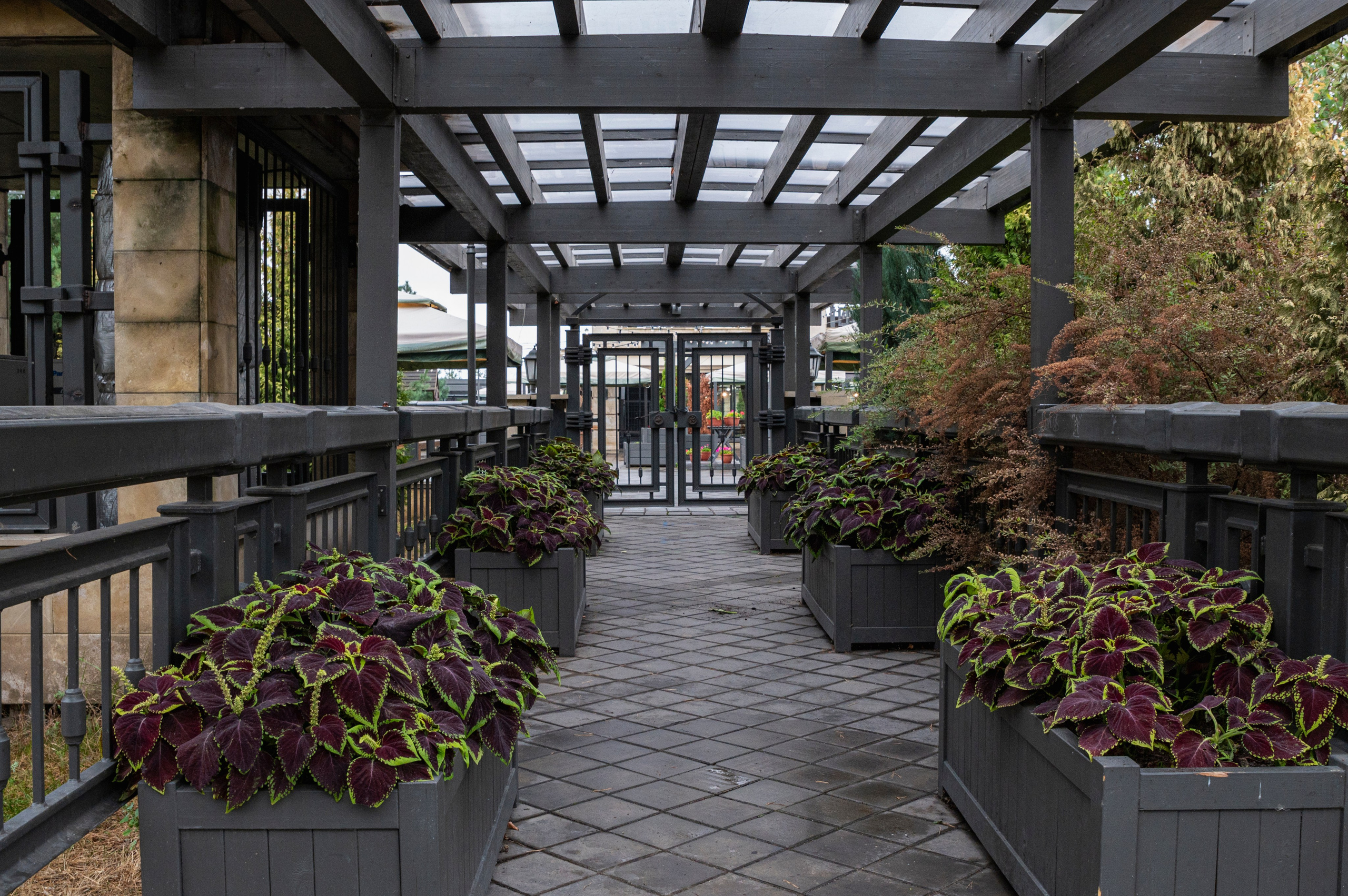 Казань. Сентябрь 2022. Фотограф Роман Адлер