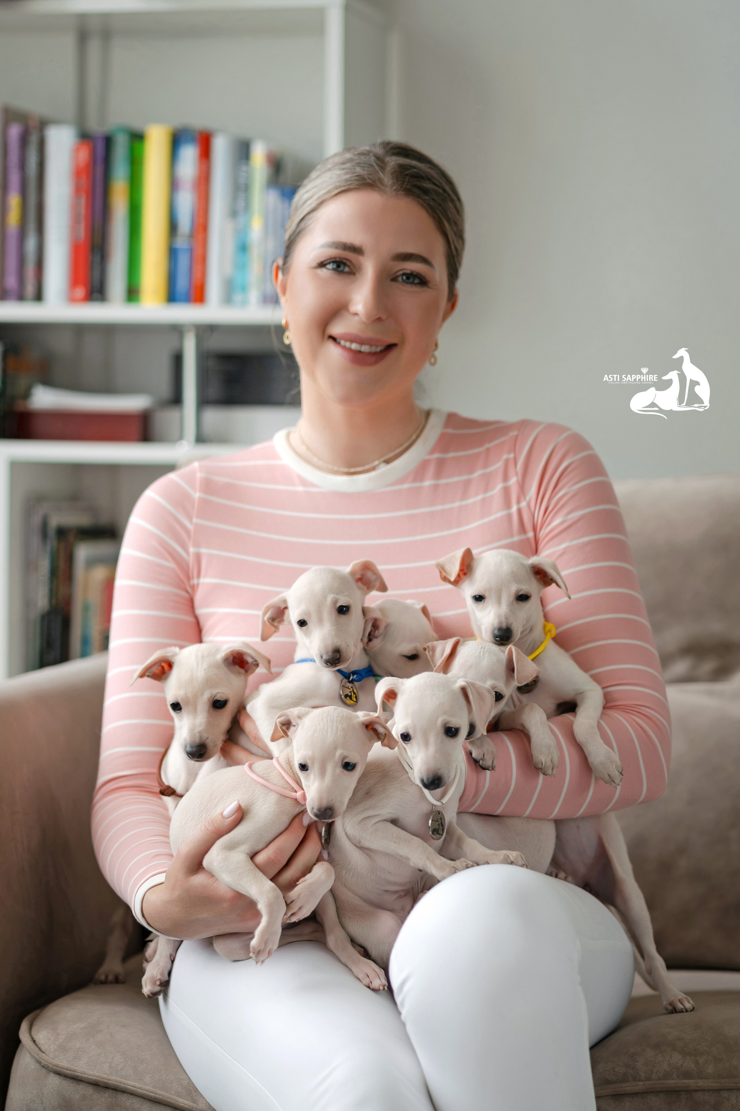 Белоснежные. Professional Italian Greyhound Kennel RKF/FCI ASTI SAPPHIRE 💎 Sochi|St. Petersburg