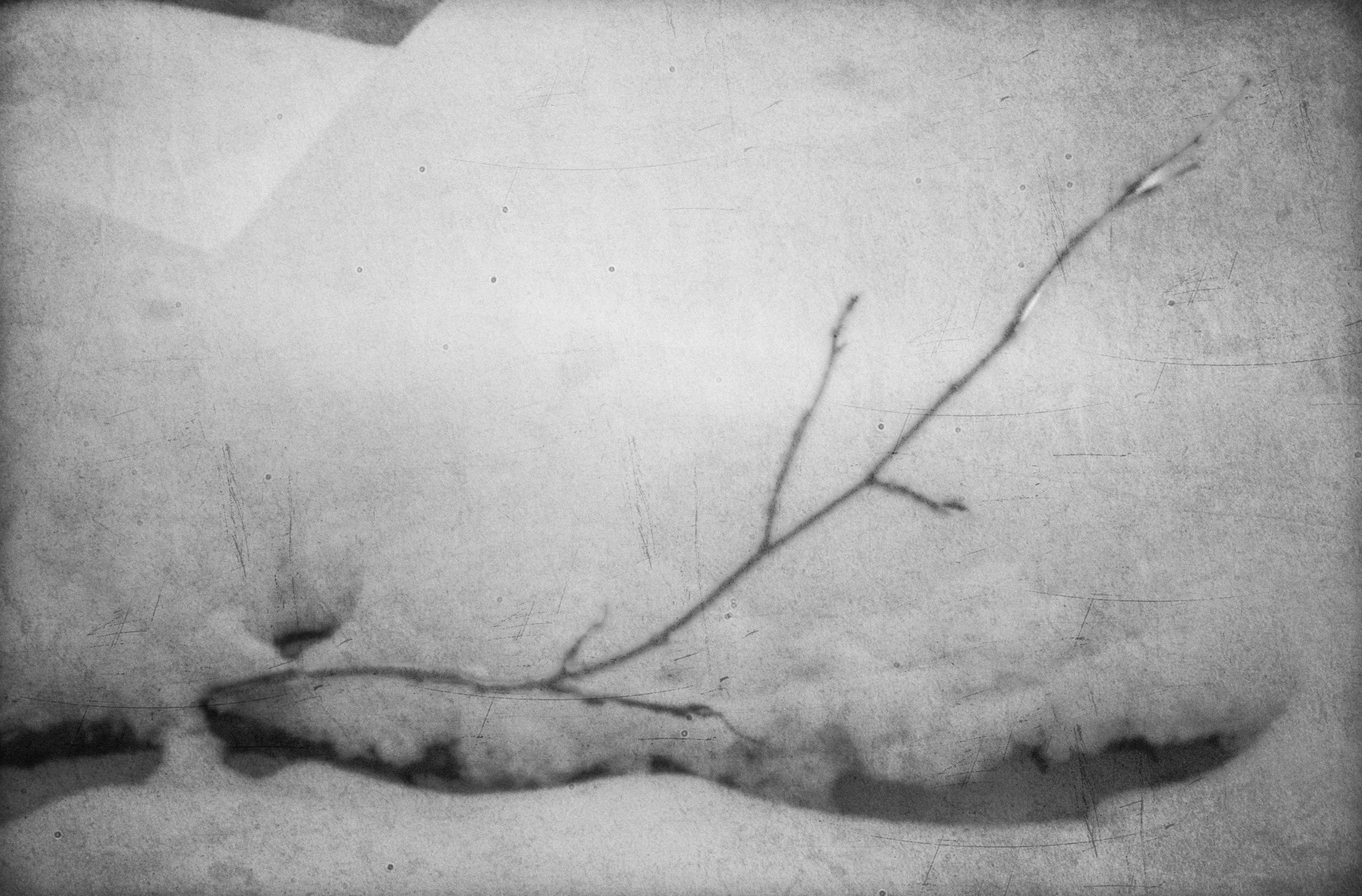 Поднебесные зубья, кемеровская область, пинхол, черно-белая фотография, поход на снегоступах, зима 2026, арт-фотография, фотограф Новосибирск