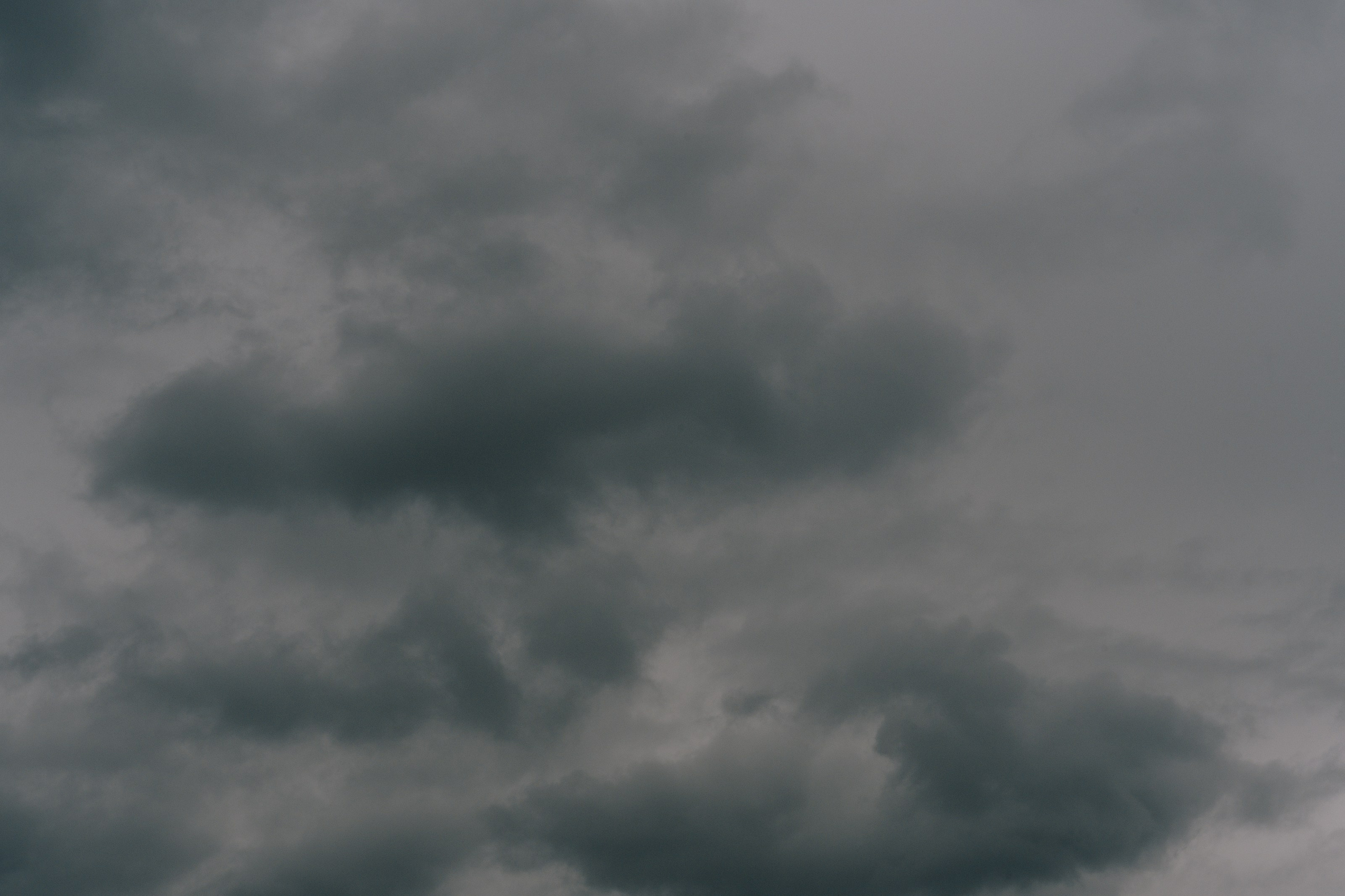 Виталий Елена. Свадебный фотограф Воронеж