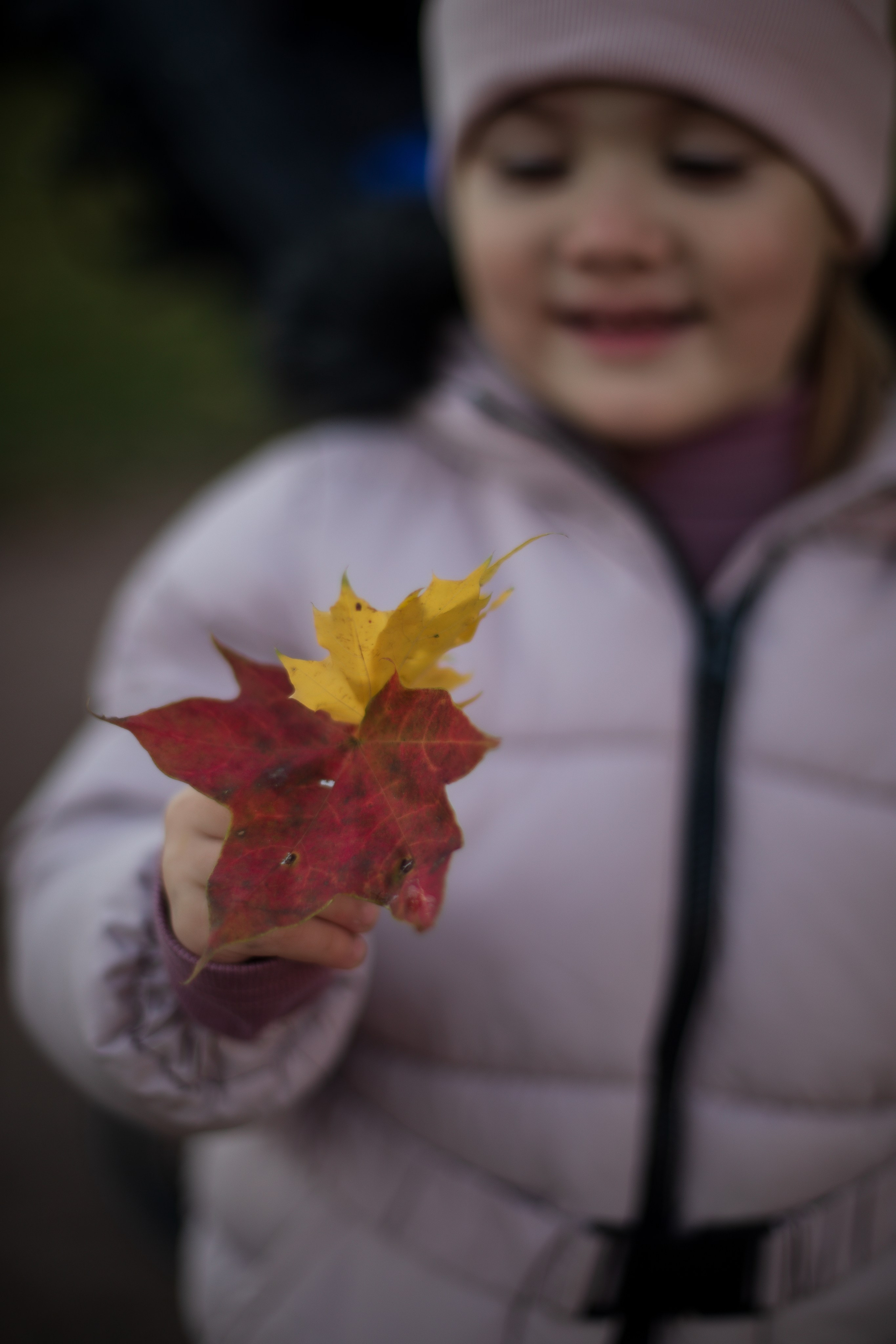Фотопрогулки осень. Семейный и детский фотограф в Санкт-Петербурге, Анастасия Воротова
