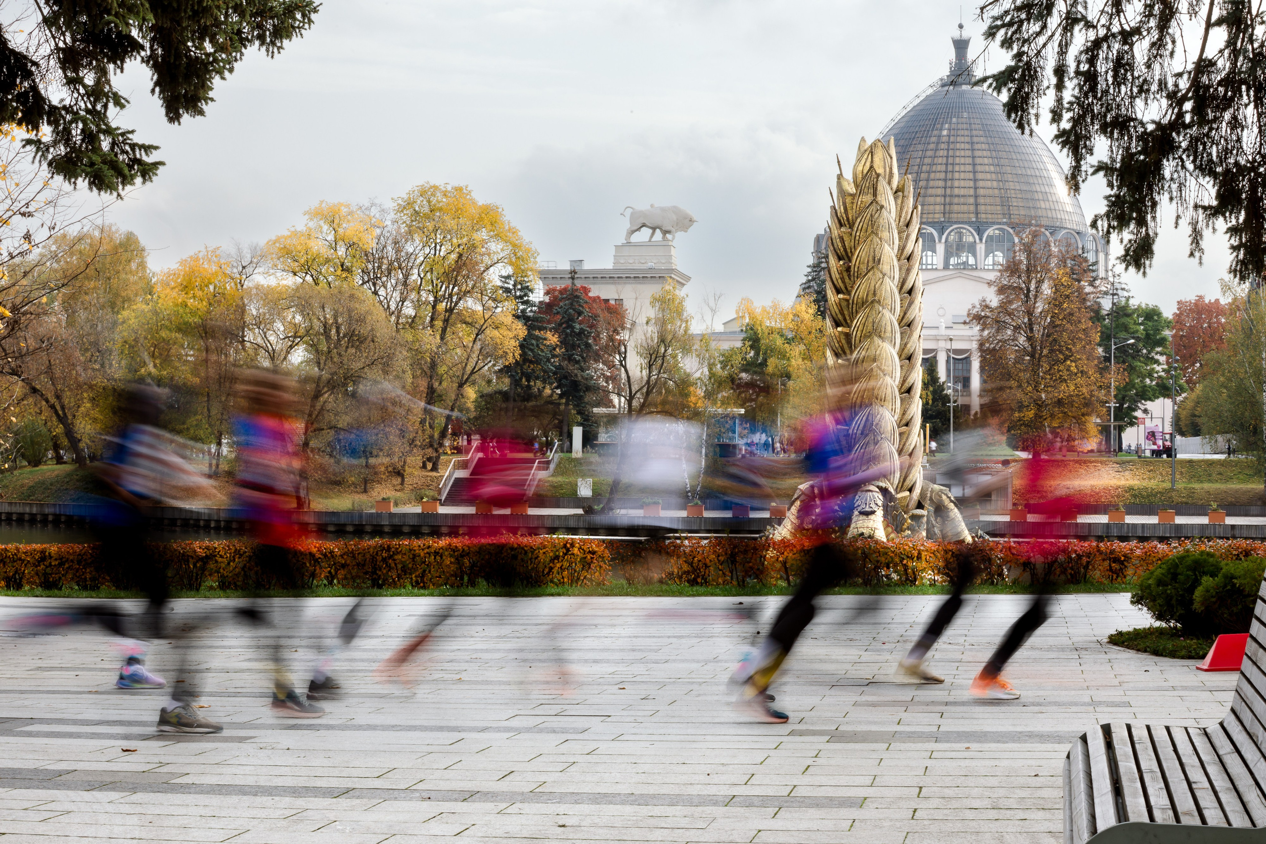 Забег фонда ОРБИ на ВДНХ. Фотограф Юлия Губина. Москва.