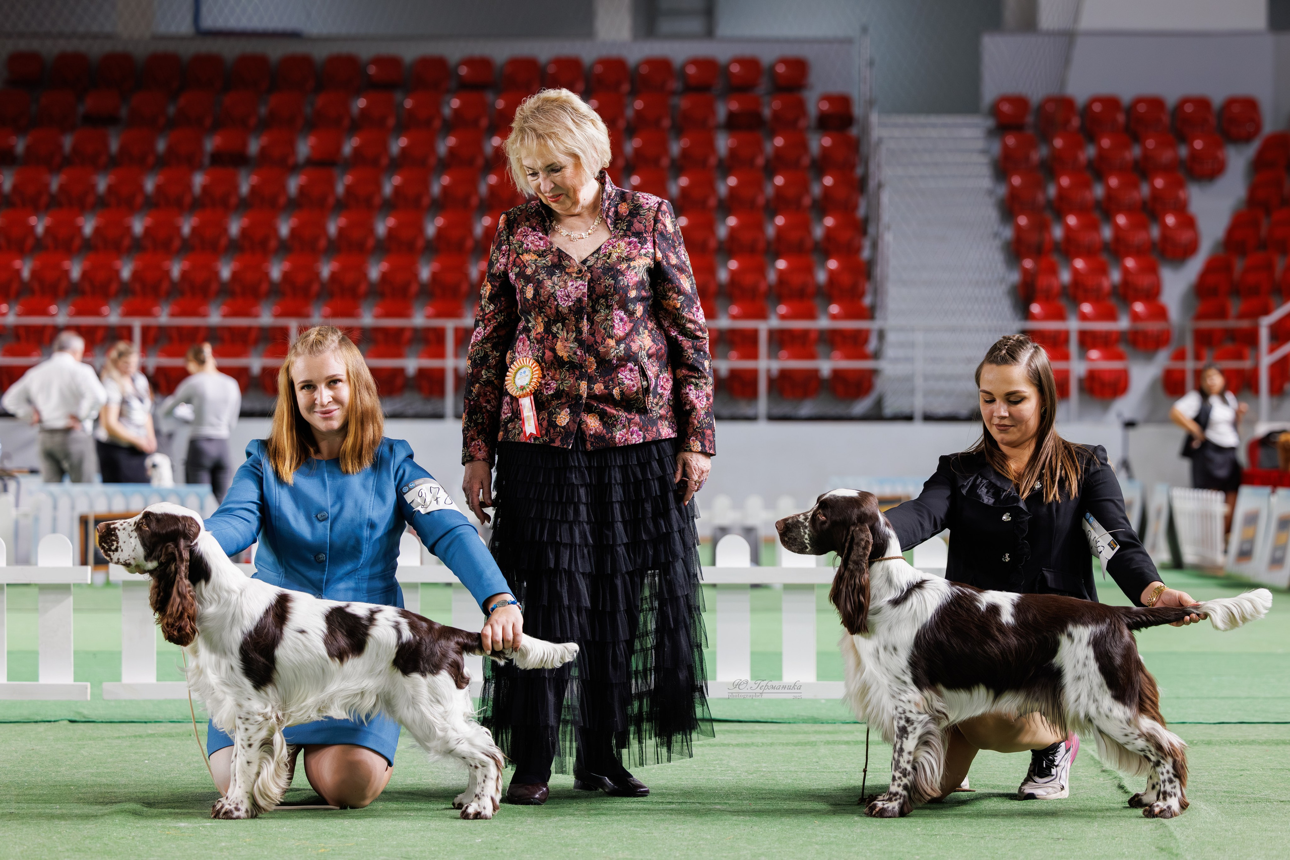 Телави 11-12.10.2025. Фотограф-анималист Юлия Германика