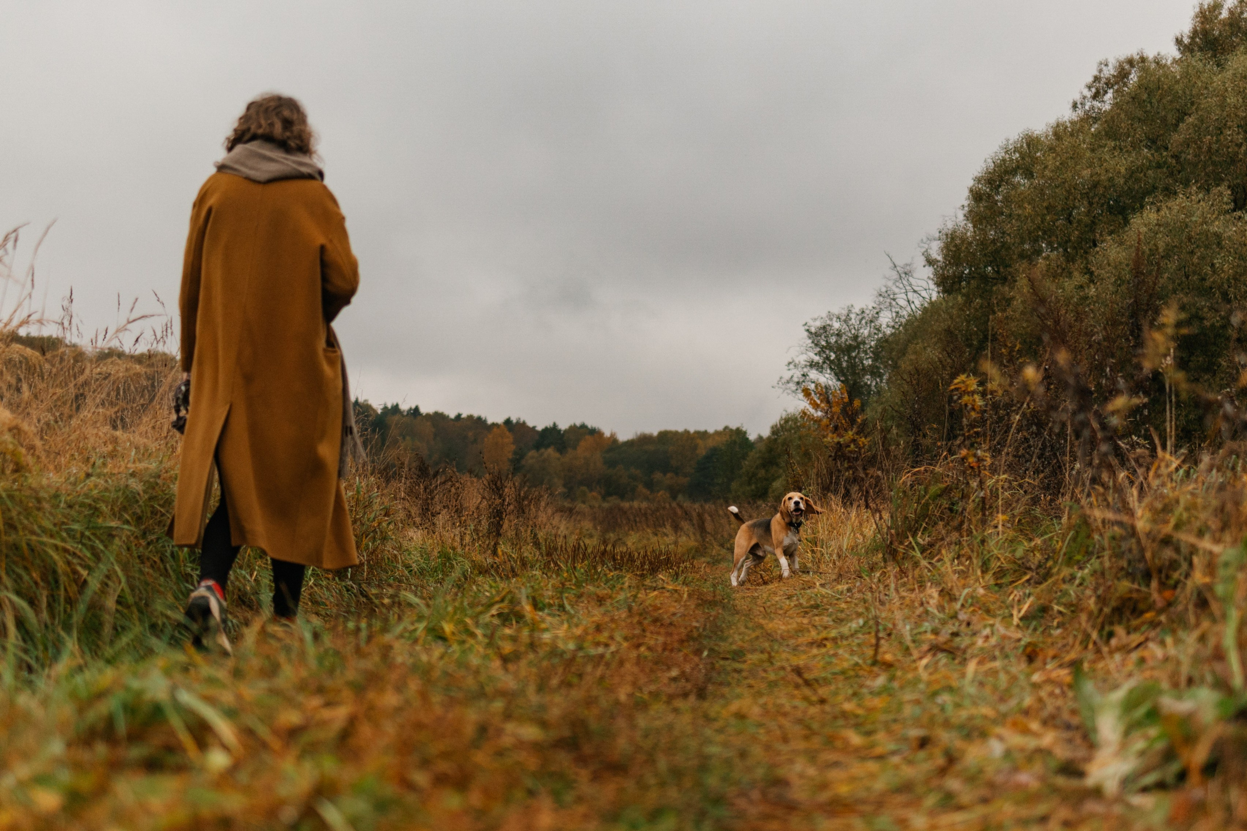 Лена и Тайгер. Фотограф — Анималист | Санкт-Петербург