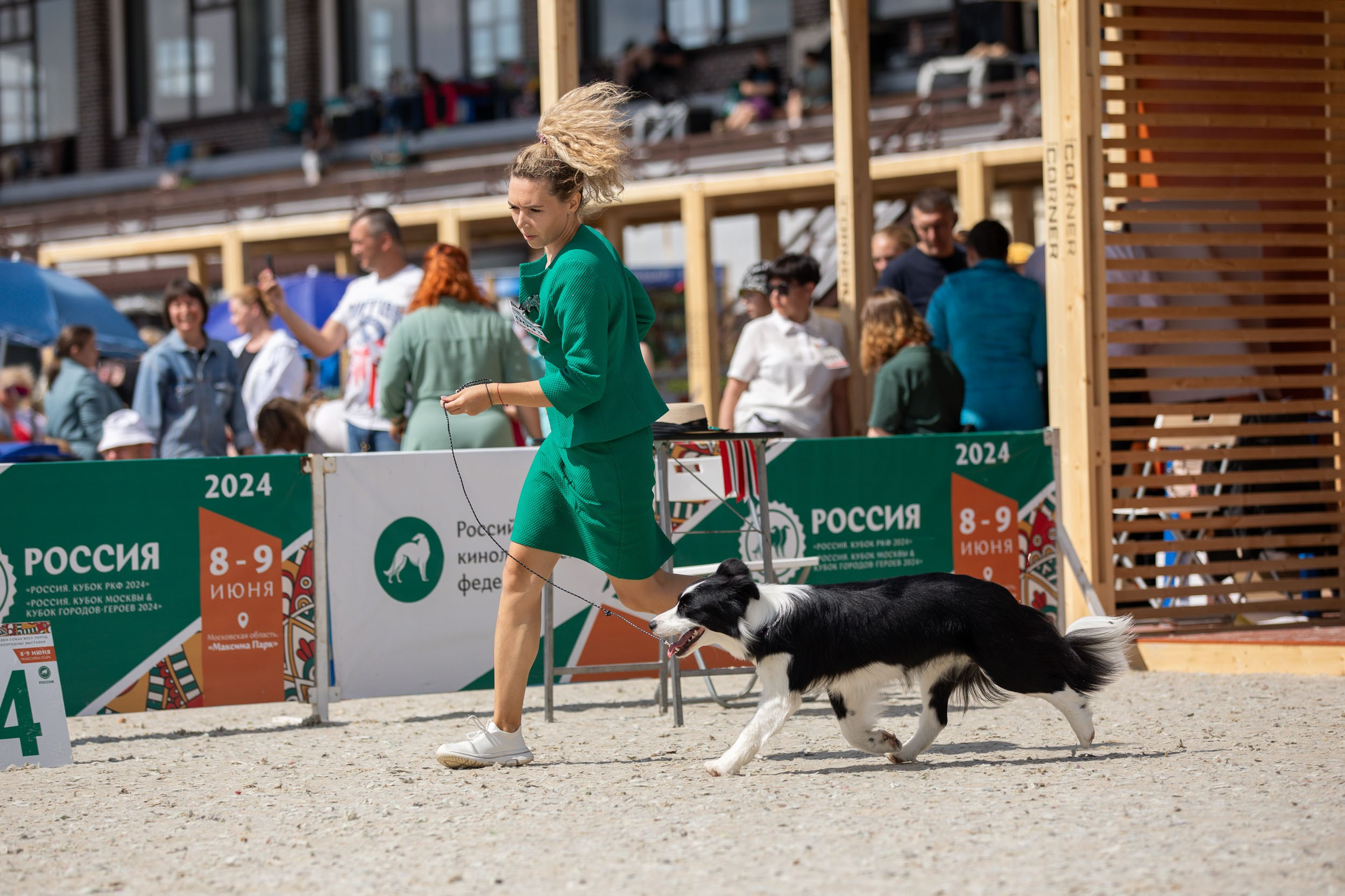 Репортаж с выставки Россия. Фотограф-анималист в Москве и Московской области Татьяна Фролова