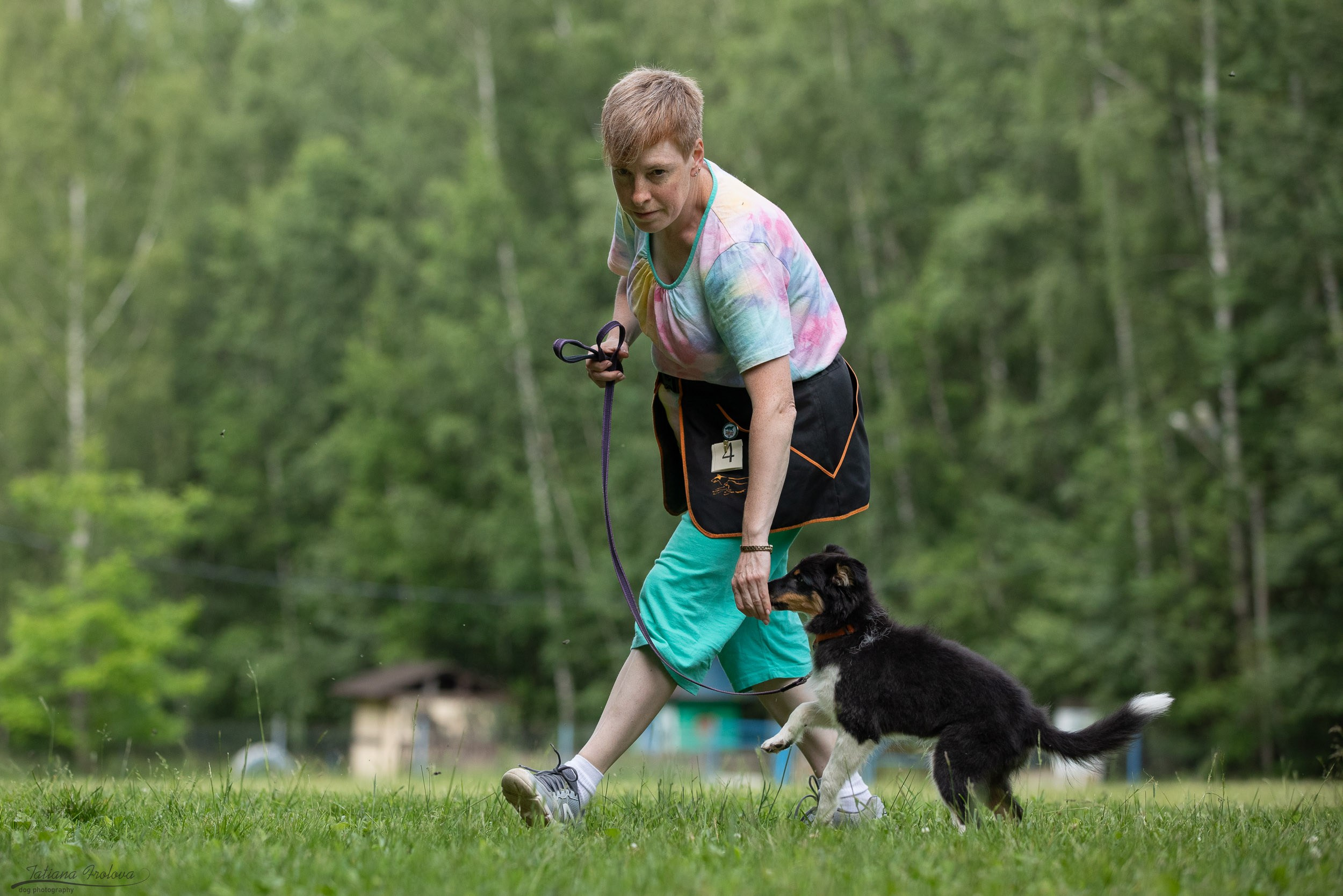 Репортаж с выводки молодняка колли/шелти в Ясенево. Фотограф-анималист в Москве и Московской области Татьяна Фролова