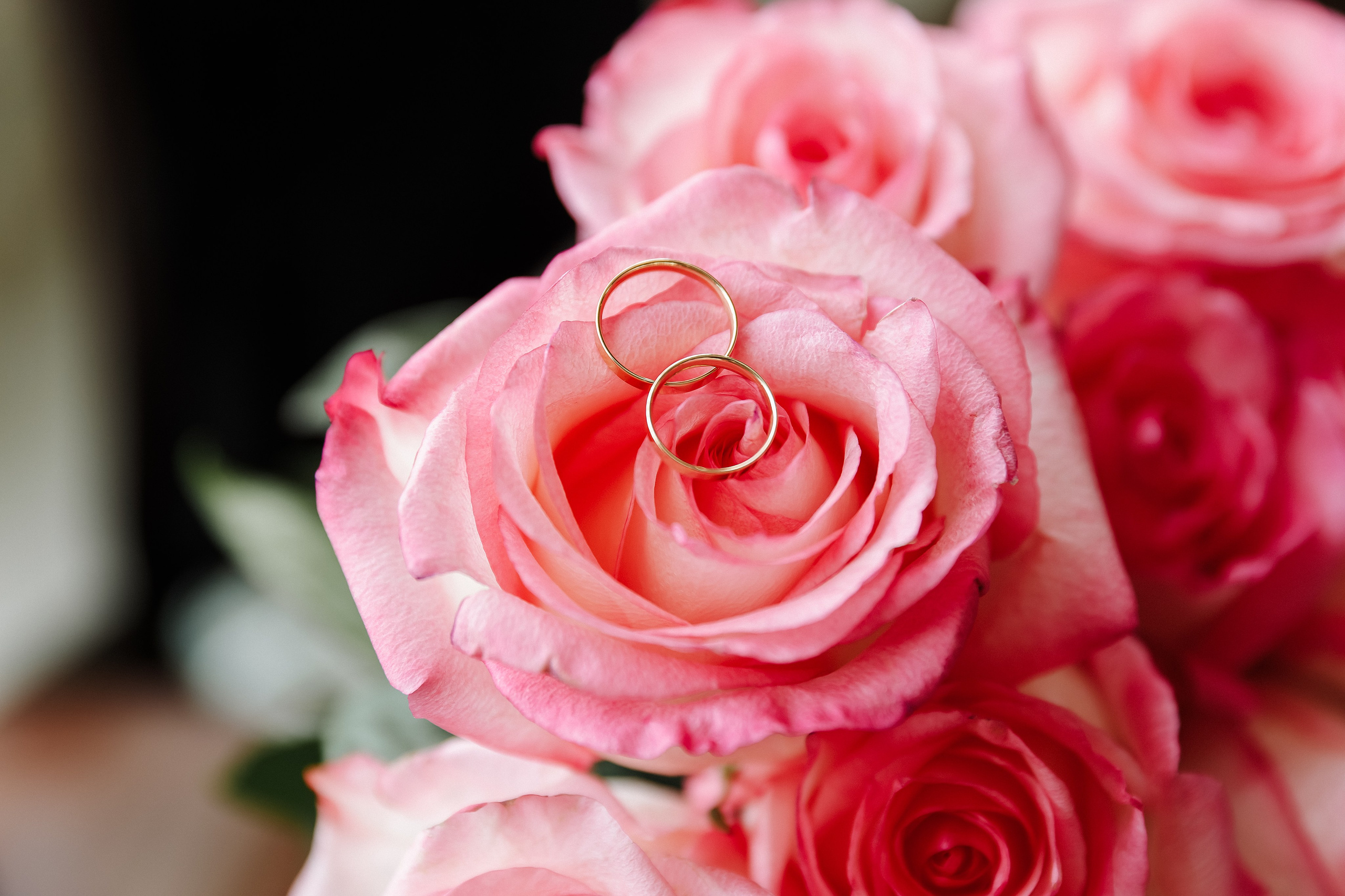 Аня и Даня. Свадебный и портретный фотограф в Санкт-Петербурге Анна Демьянова