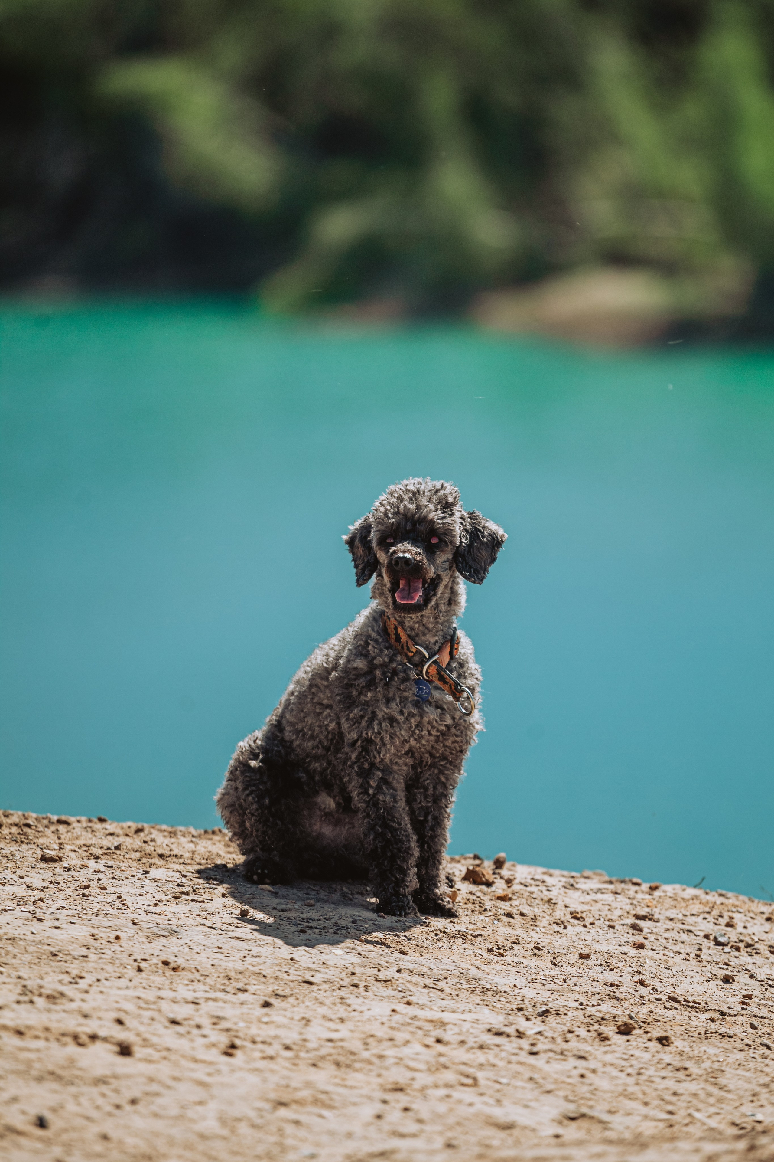Кондуки. Фотограф-анималист Татьяна Степанова