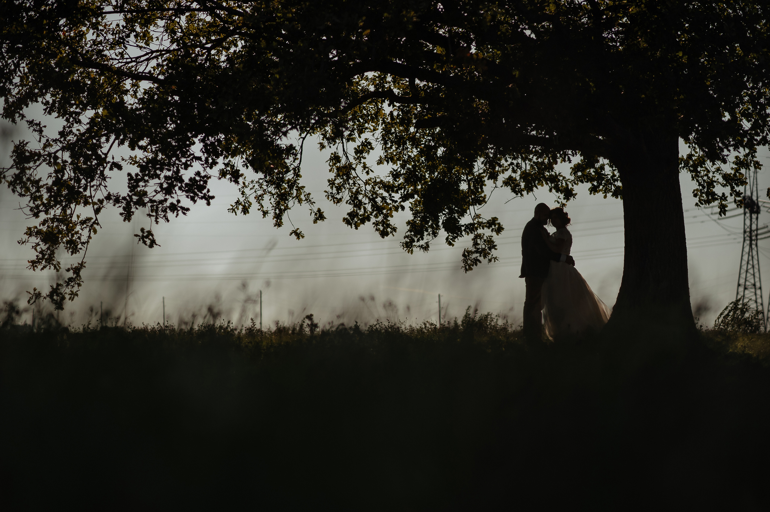 Денис + Полина. Свадебный и семейный фотограф в Сергиевом Посаде, Москве и Московской