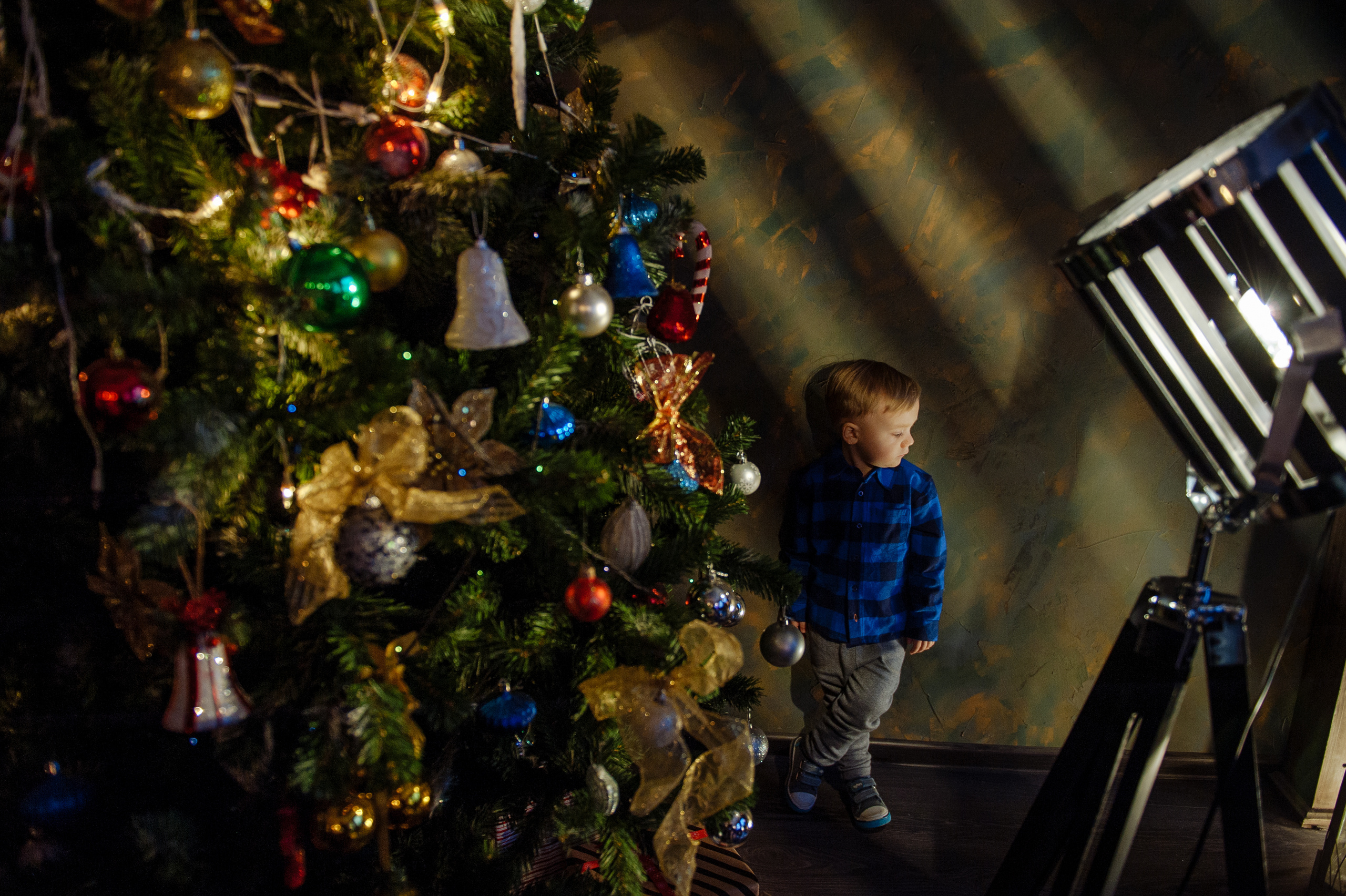 Вова + Лена + Глеб. Свадебный и семейный фотограф в Сергиевом Посаде, Москве и Московской