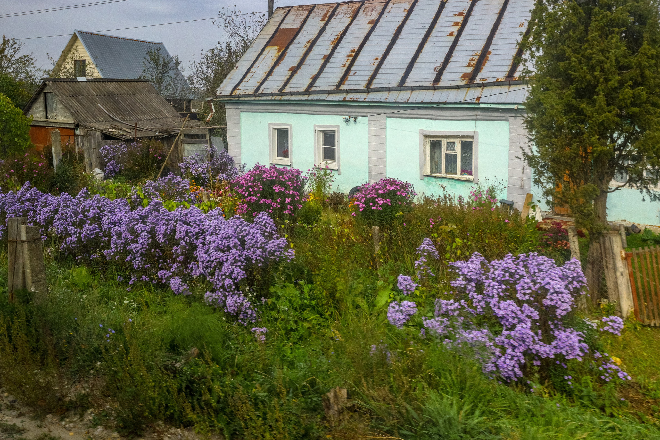 Поездка в Белев и на производство пастилы. Фотограф в Туле Крупский АнДРей. Фотостудия «КАДР71» в Туле