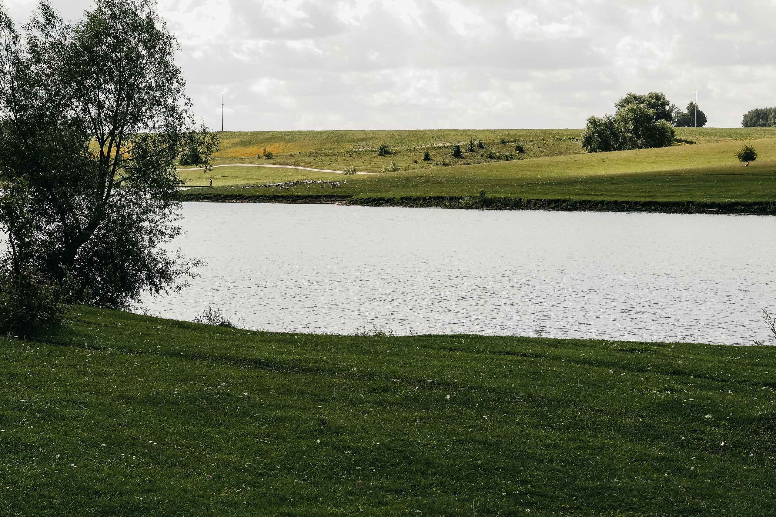 Толмачевский пруд. Фотограф Павлова Светлана / Брянск /