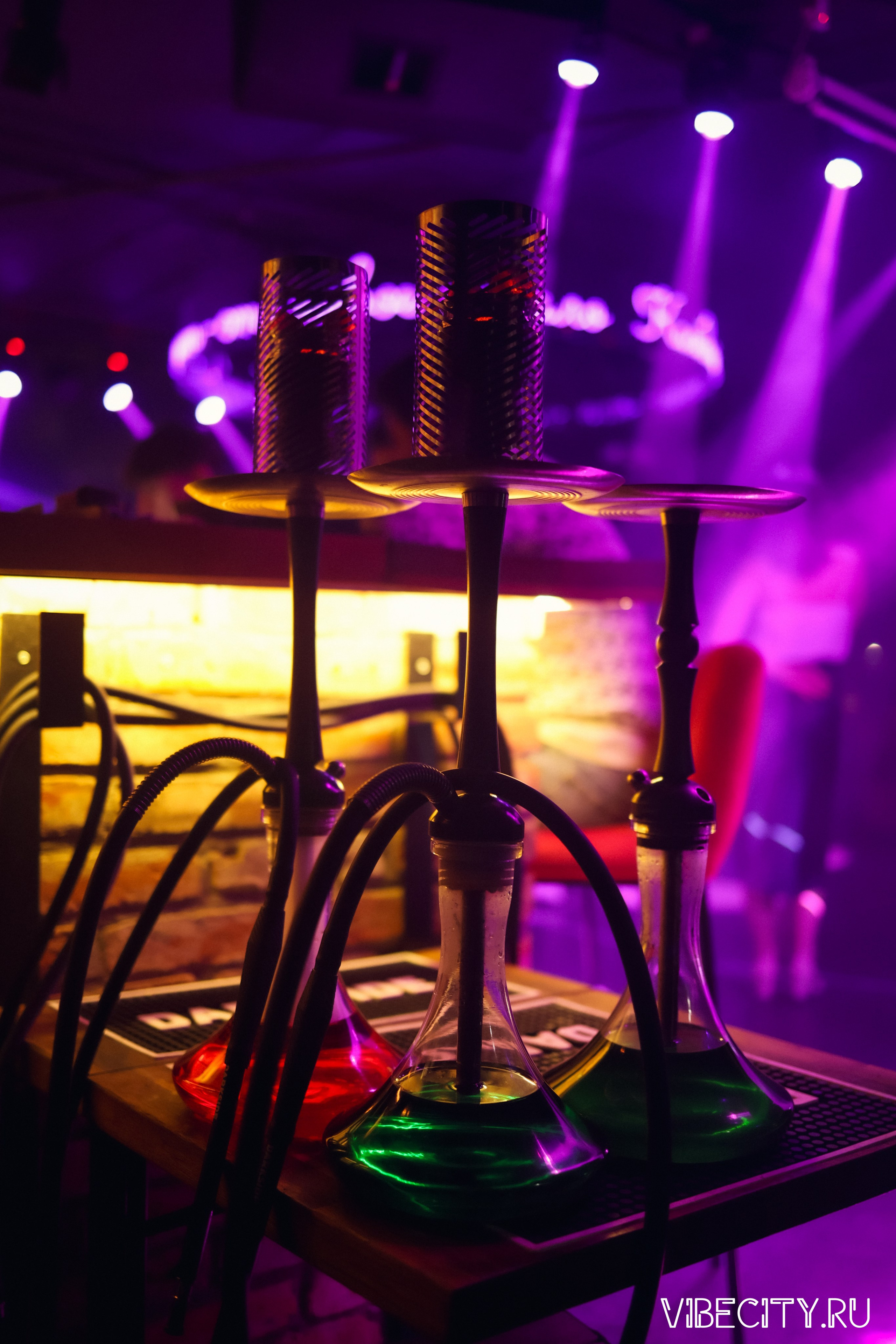 МЯТА lounge. VIBECITY.RU Вайб Сити Ру Фоторепортажи Фотоотчеты Калининград