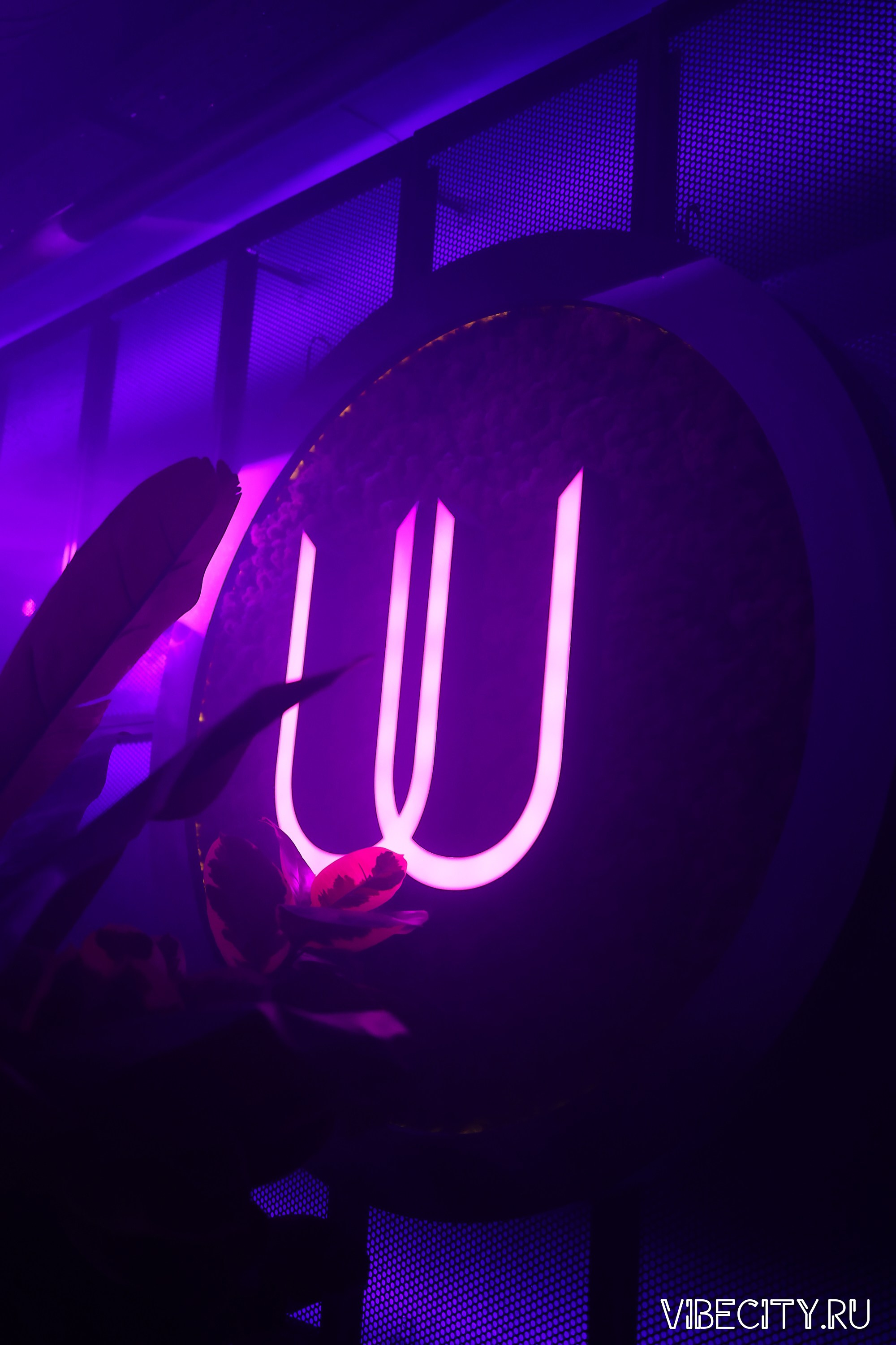 DOUBLE U. VIBECITY.RU Вайб Сити Ру Фоторепортажи Фотоотчеты Калининград