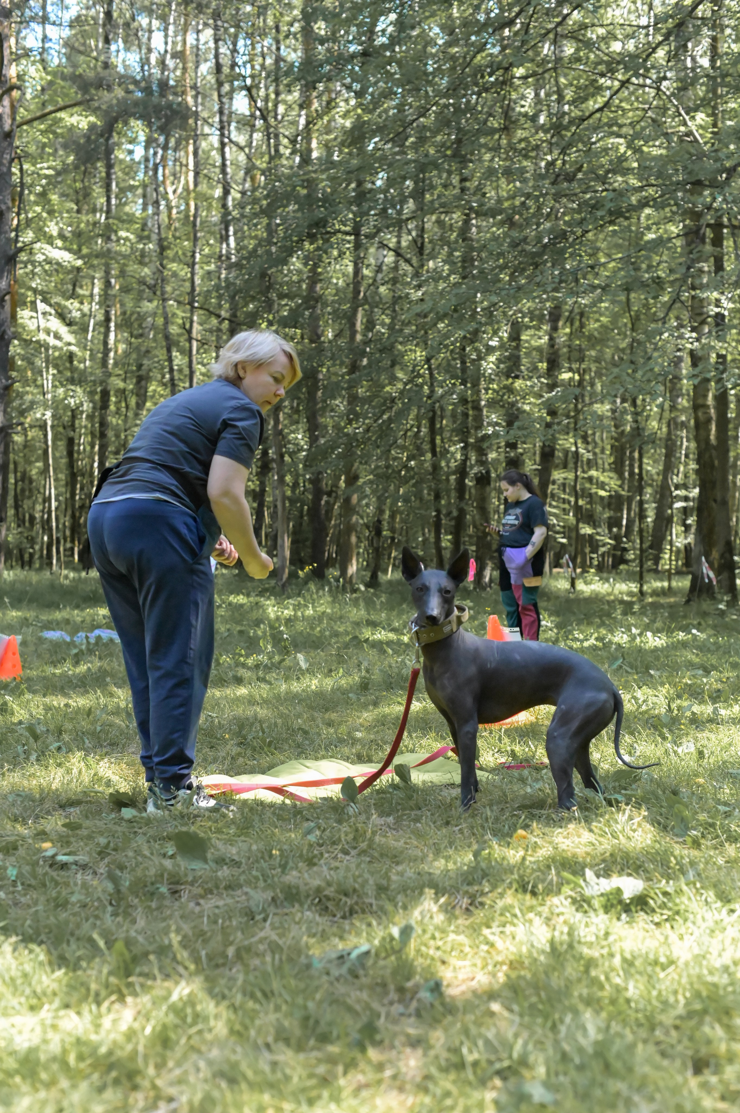 Кинологические соревнования. Семейный и репортажный фотограф в Москве Анастасия Трубкина