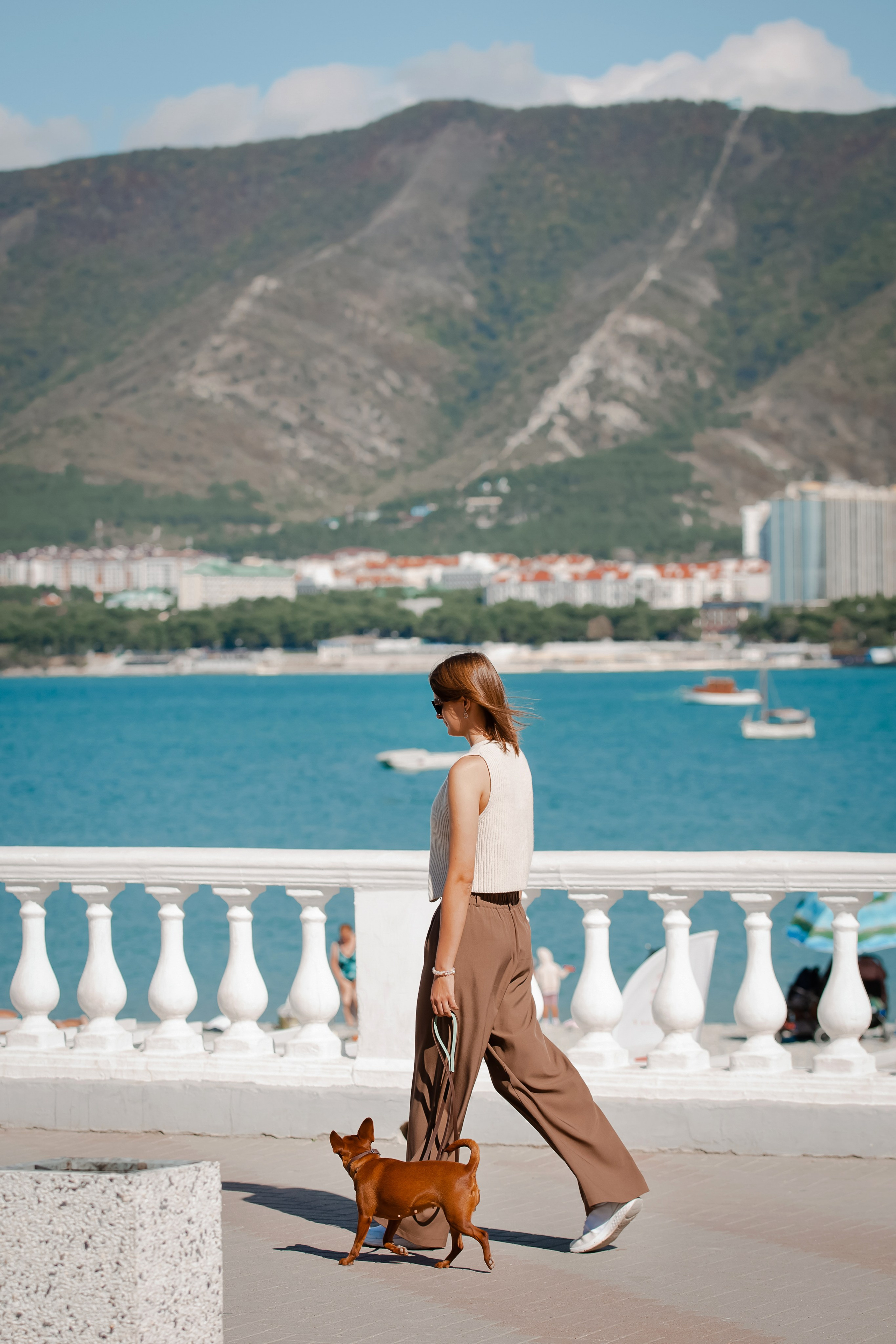 Цвергпинчер в Геленджике. Фотограф-анималист в Краснодаре Маша Мельникова